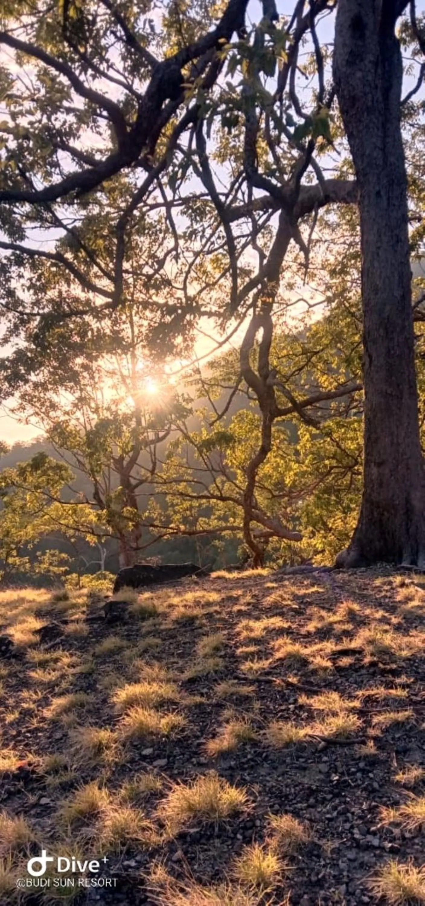Nearby landmark in Budi Sun Resort, Flores, Maumere
