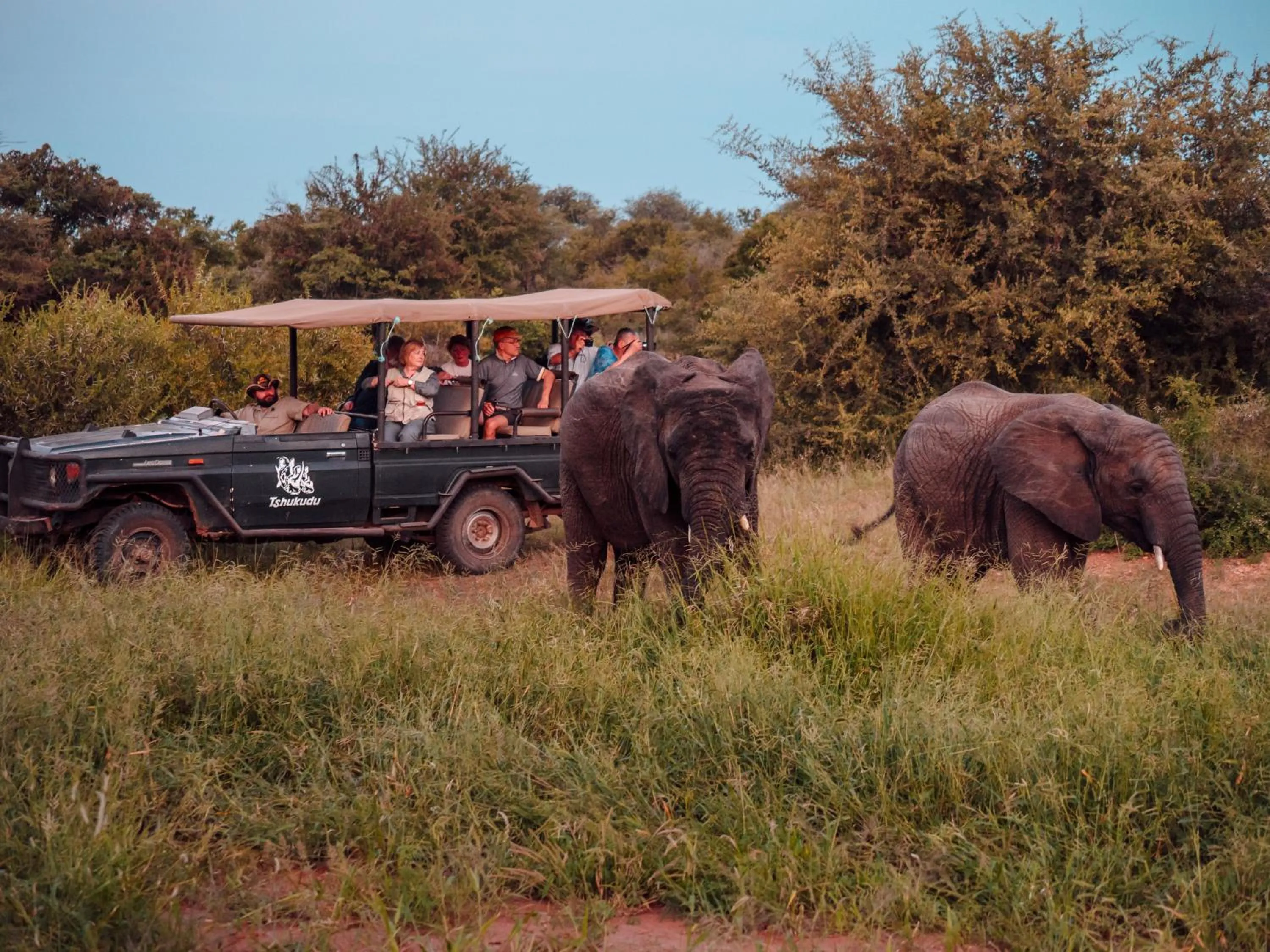 Activities in Tshukudu Game Lodge