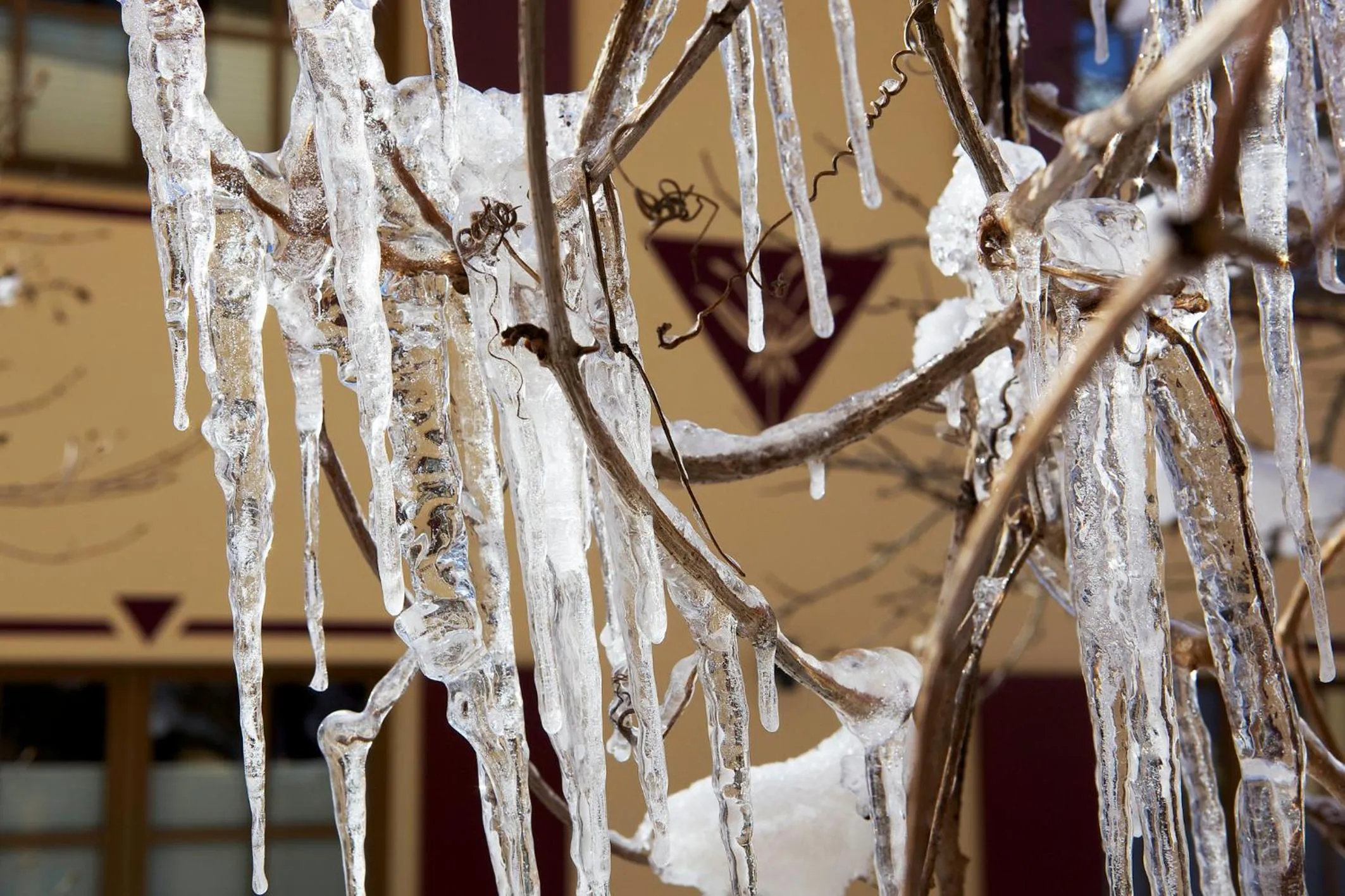 Property building in Die Lilie / Hotel Garni