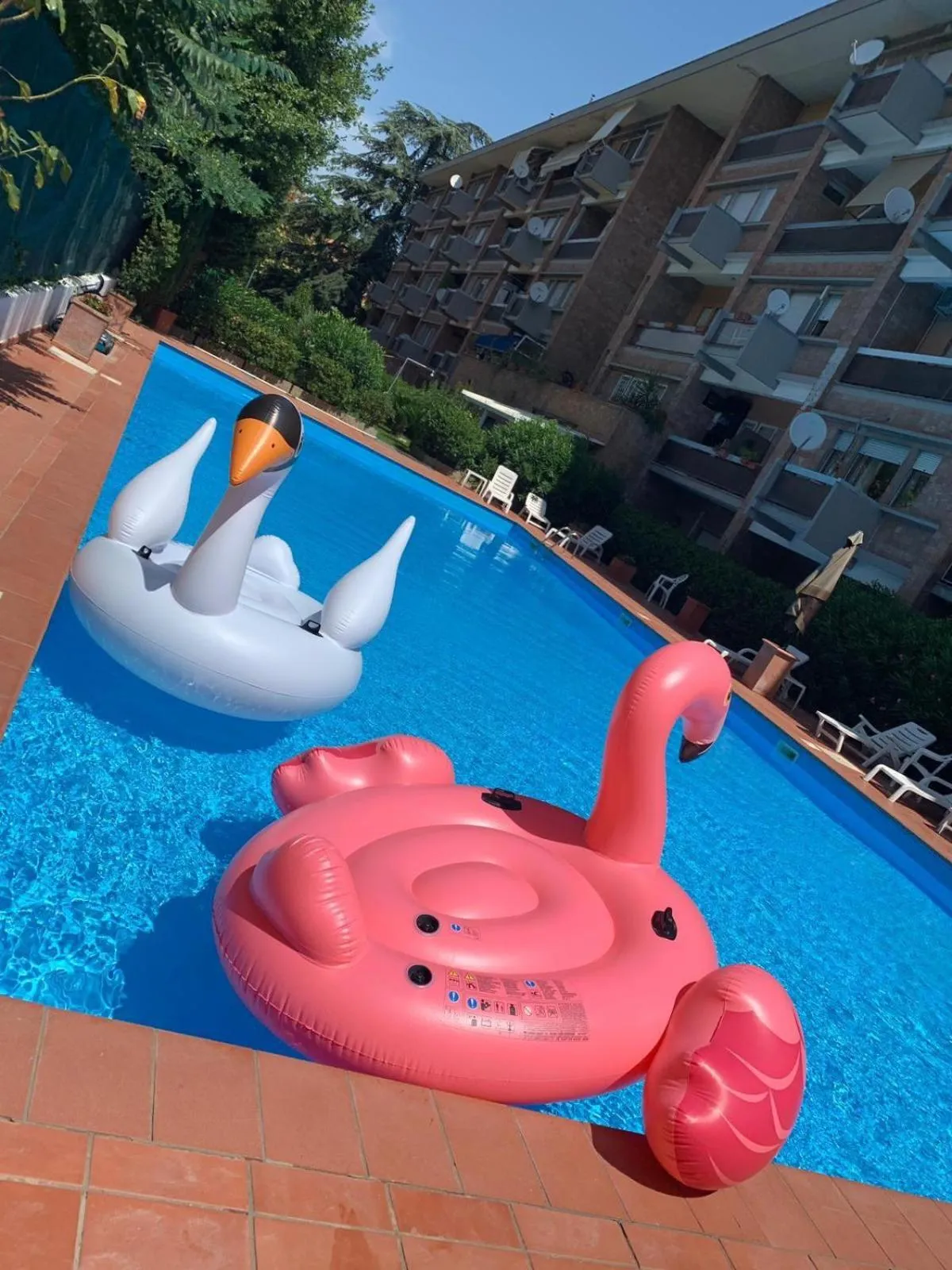 Swimming pool in Aurelia Antica Suites & Apartments