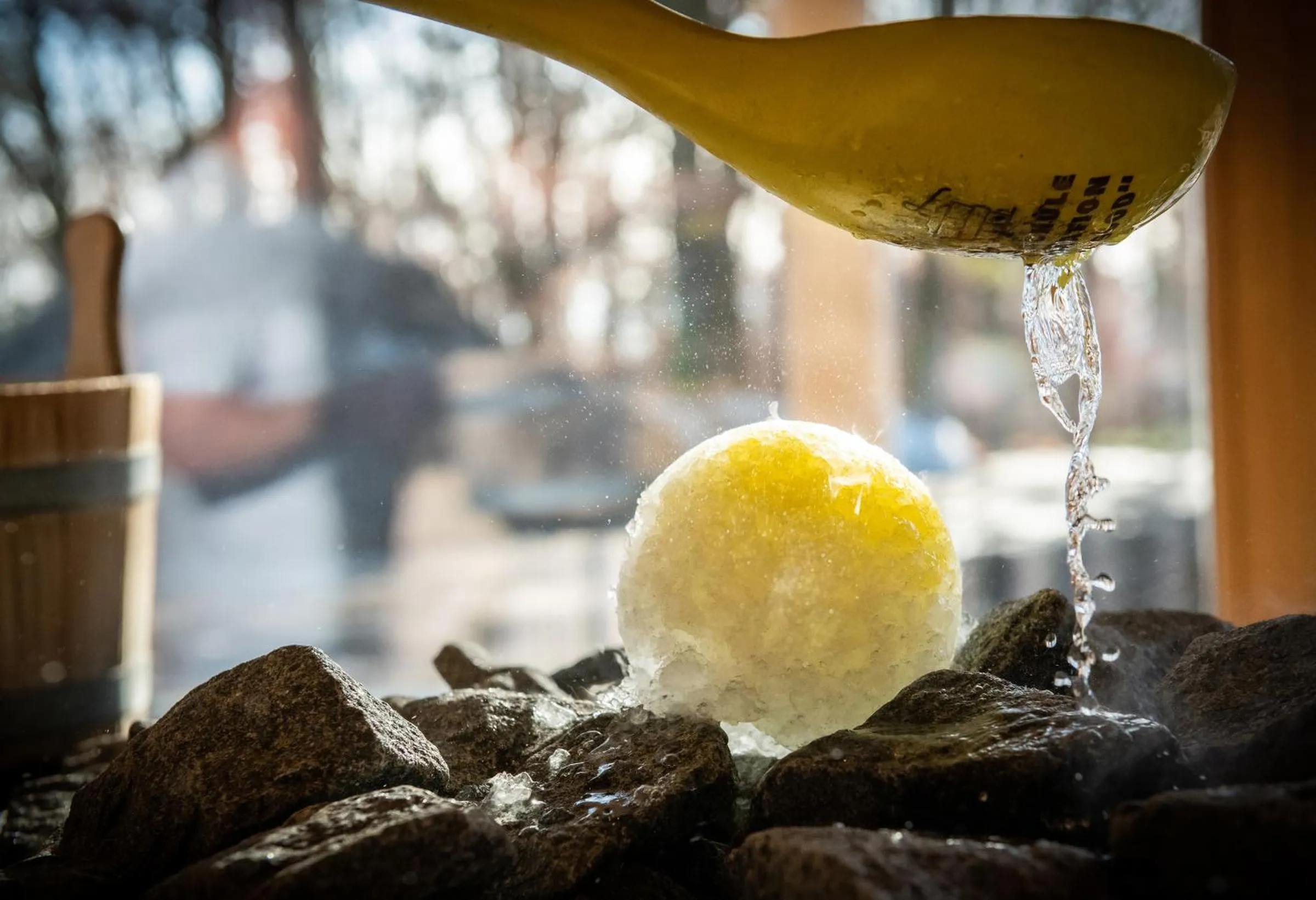 Sauna in RETTER Bio-Natur-Resort