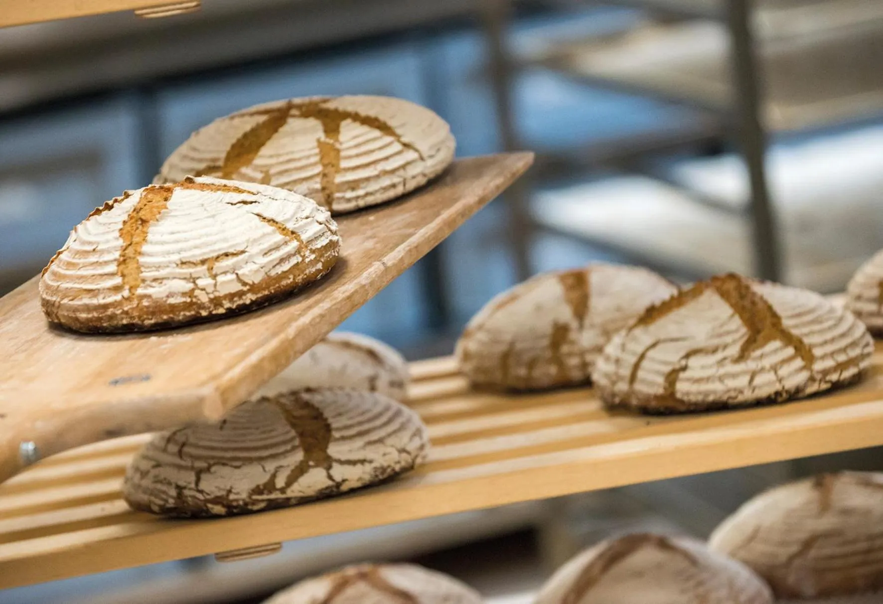 Food and drinks in RETTER Bio-Natur-Resort