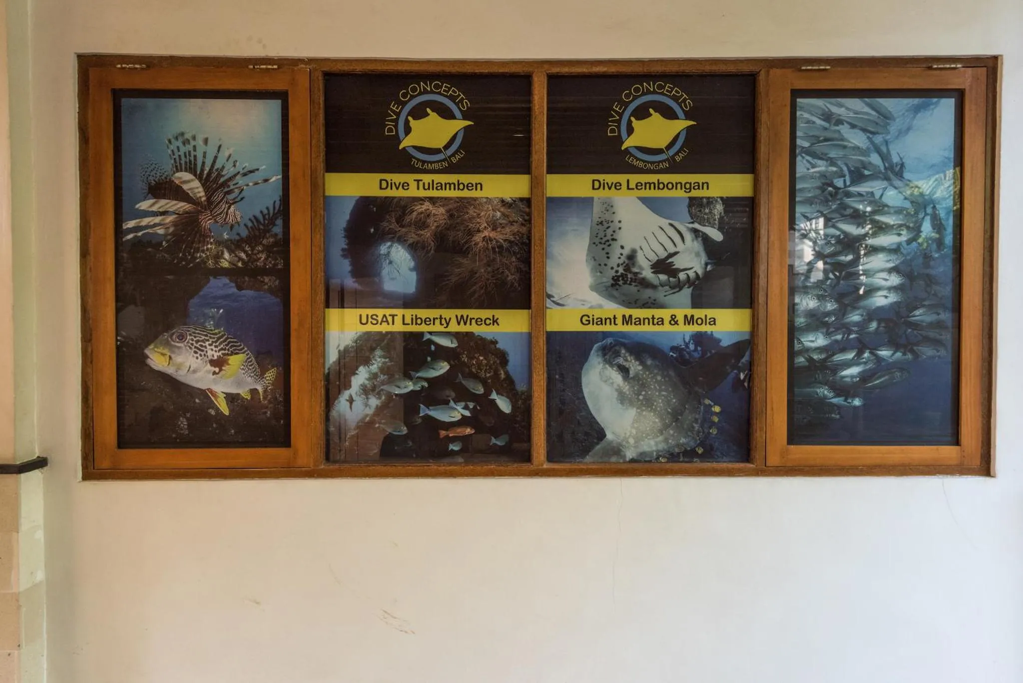 Diving in Arjuna Homestay