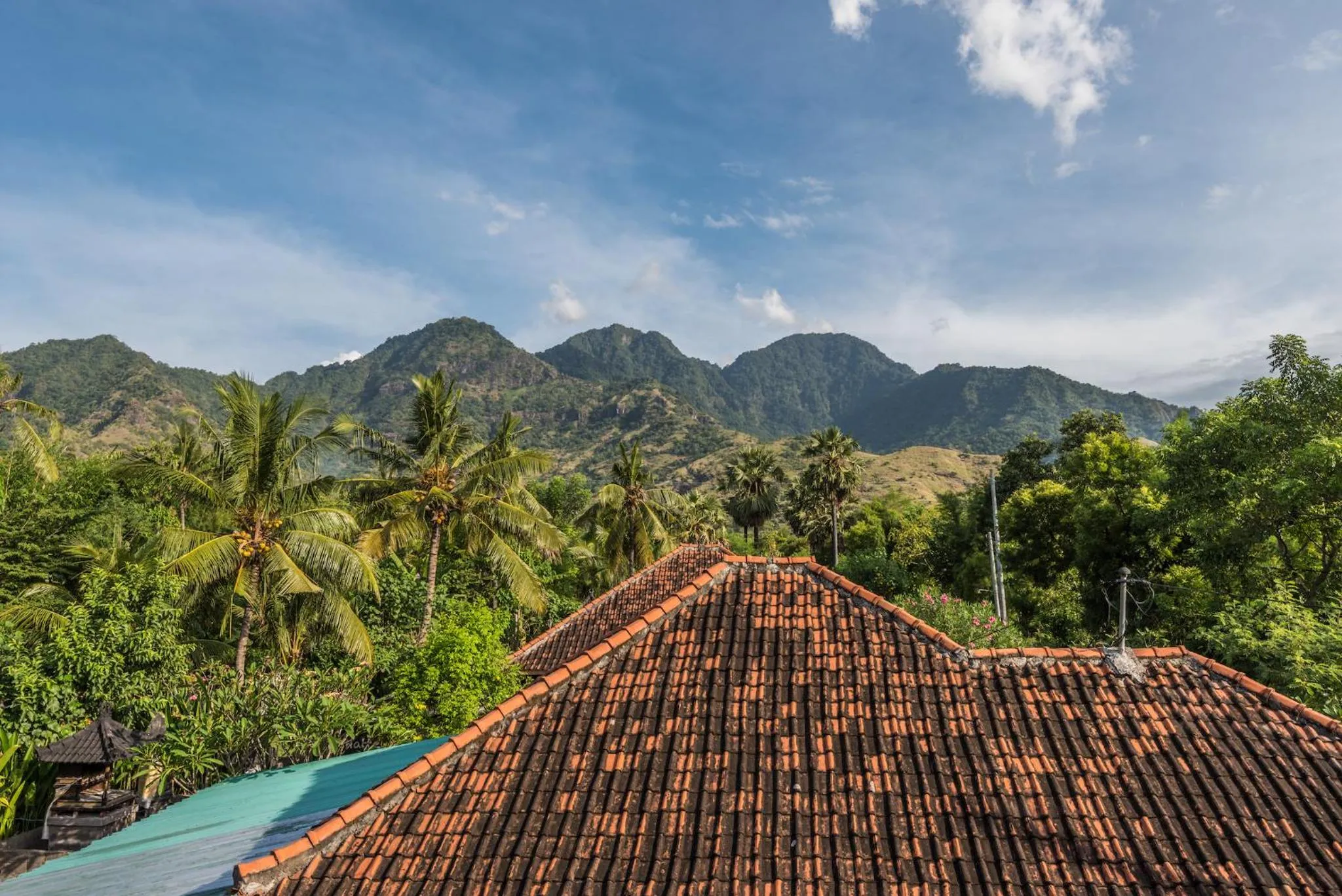 Mountain view in Arjuna Homestay