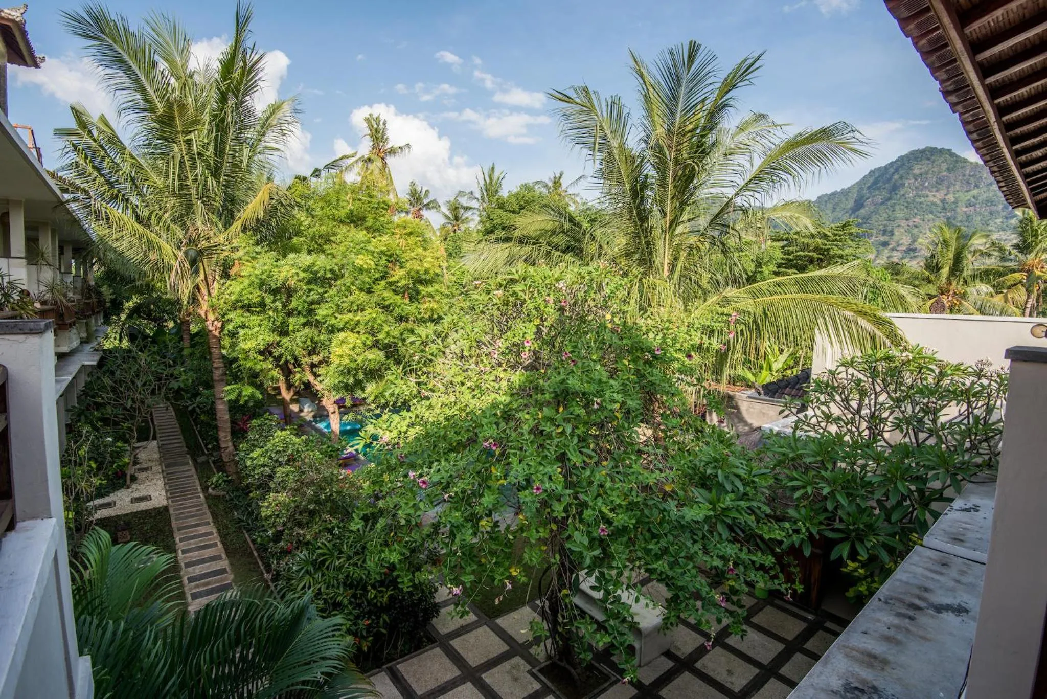 Garden in Arjuna Homestay