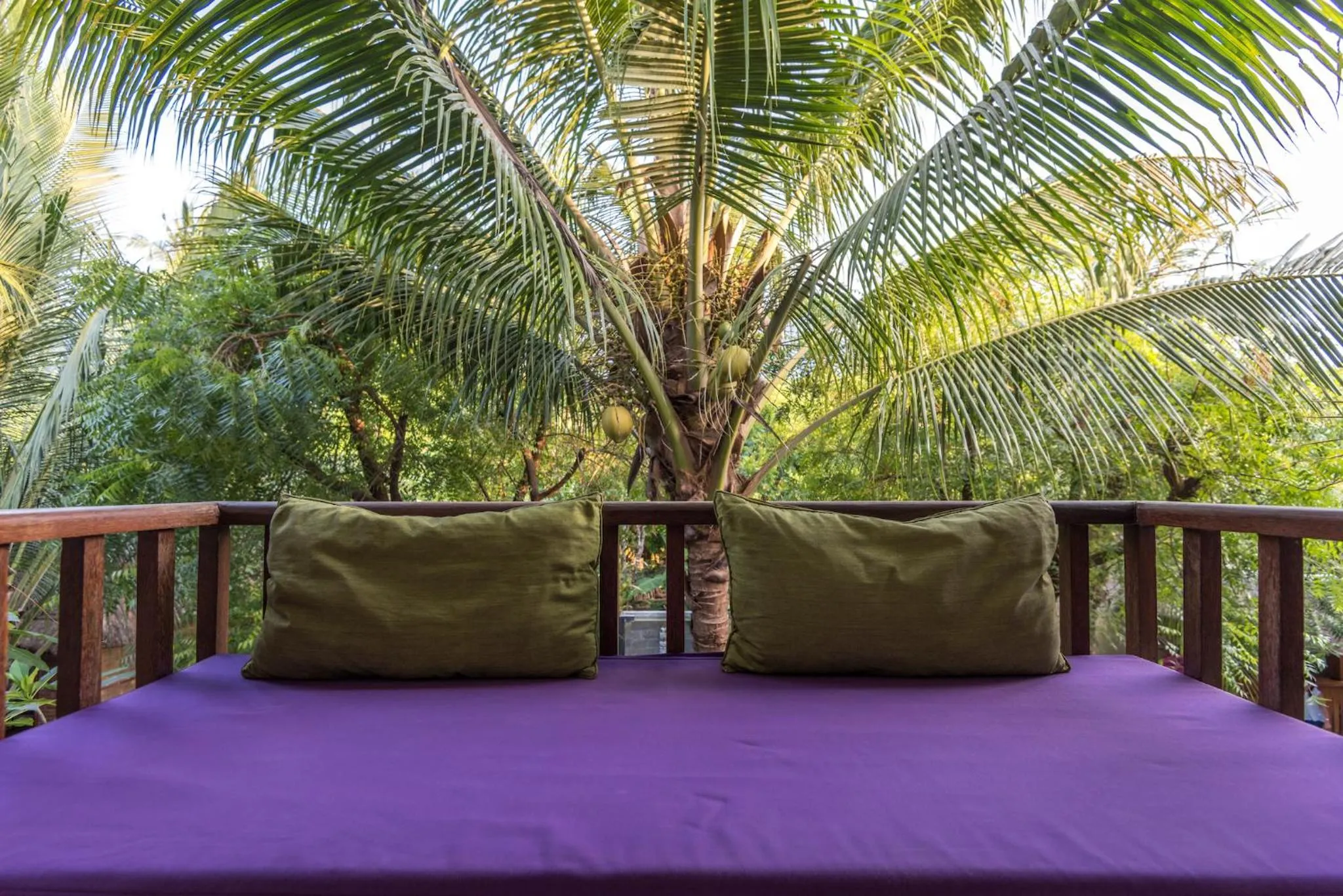 Garden view in Arjuna Homestay