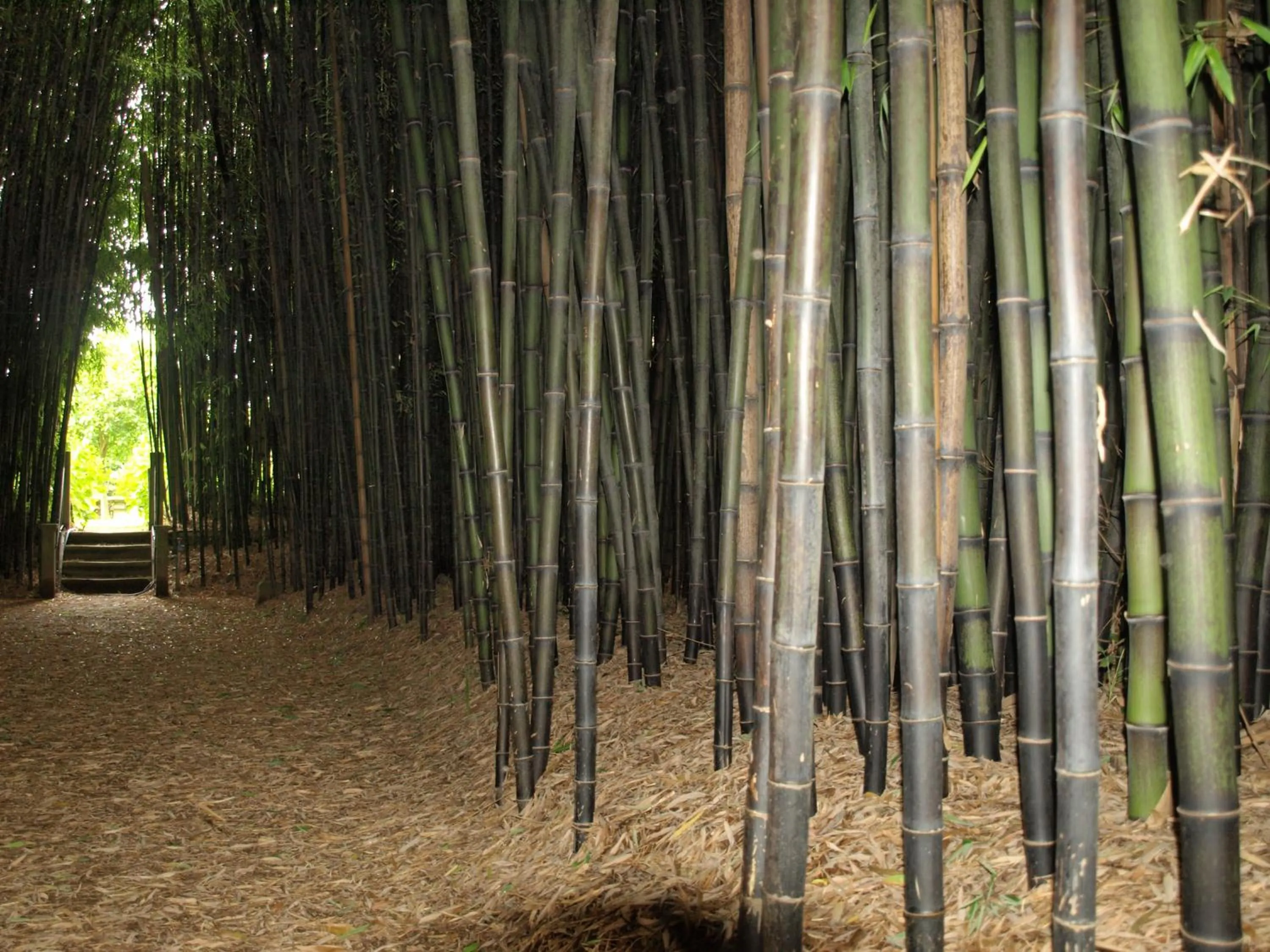 Balneario Hotel Dávila