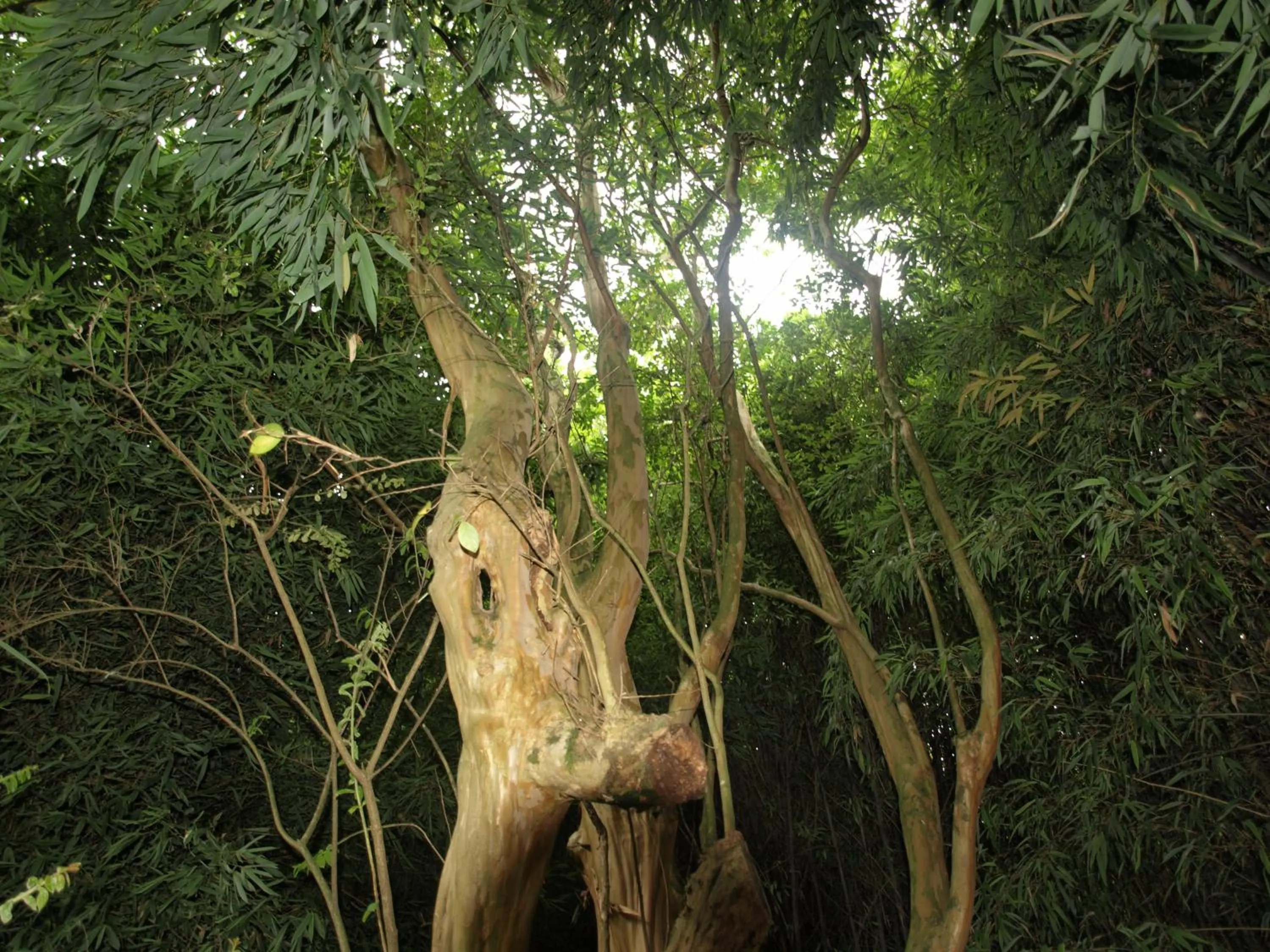 Balneario Hotel Dávila