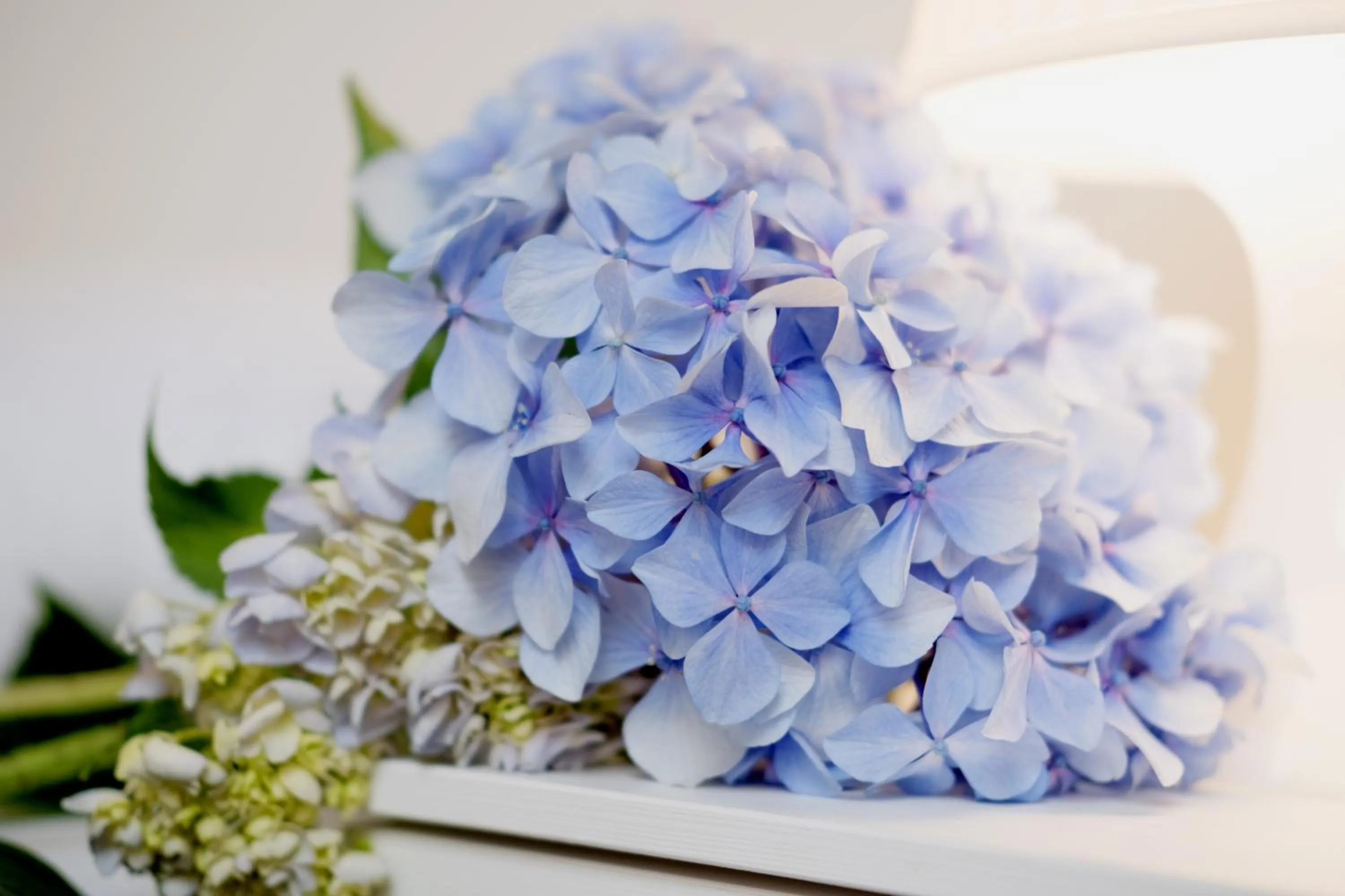 Balneario Hotel Dávila