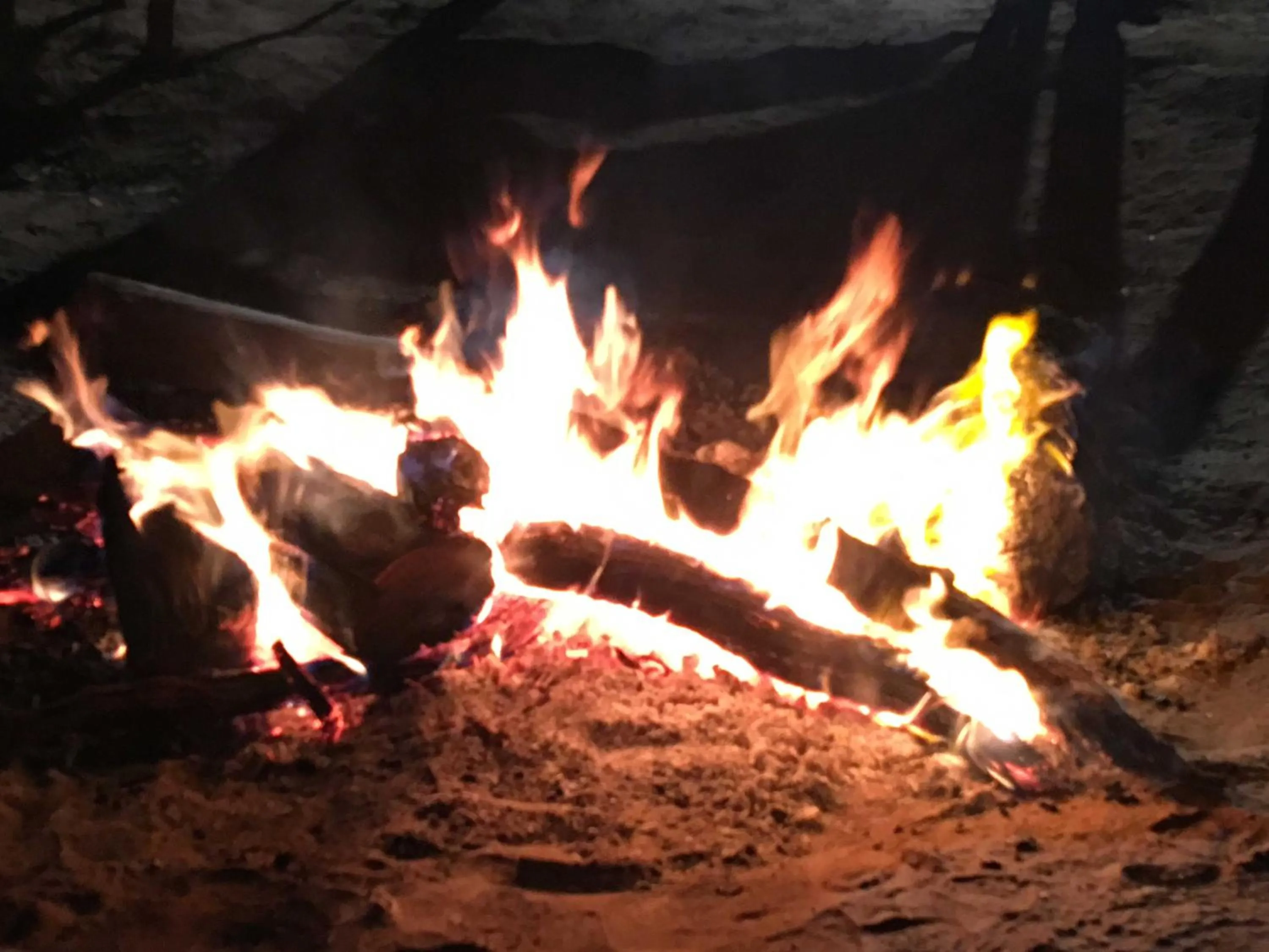 Activities in Club Boutique Hotel Cunnamulla