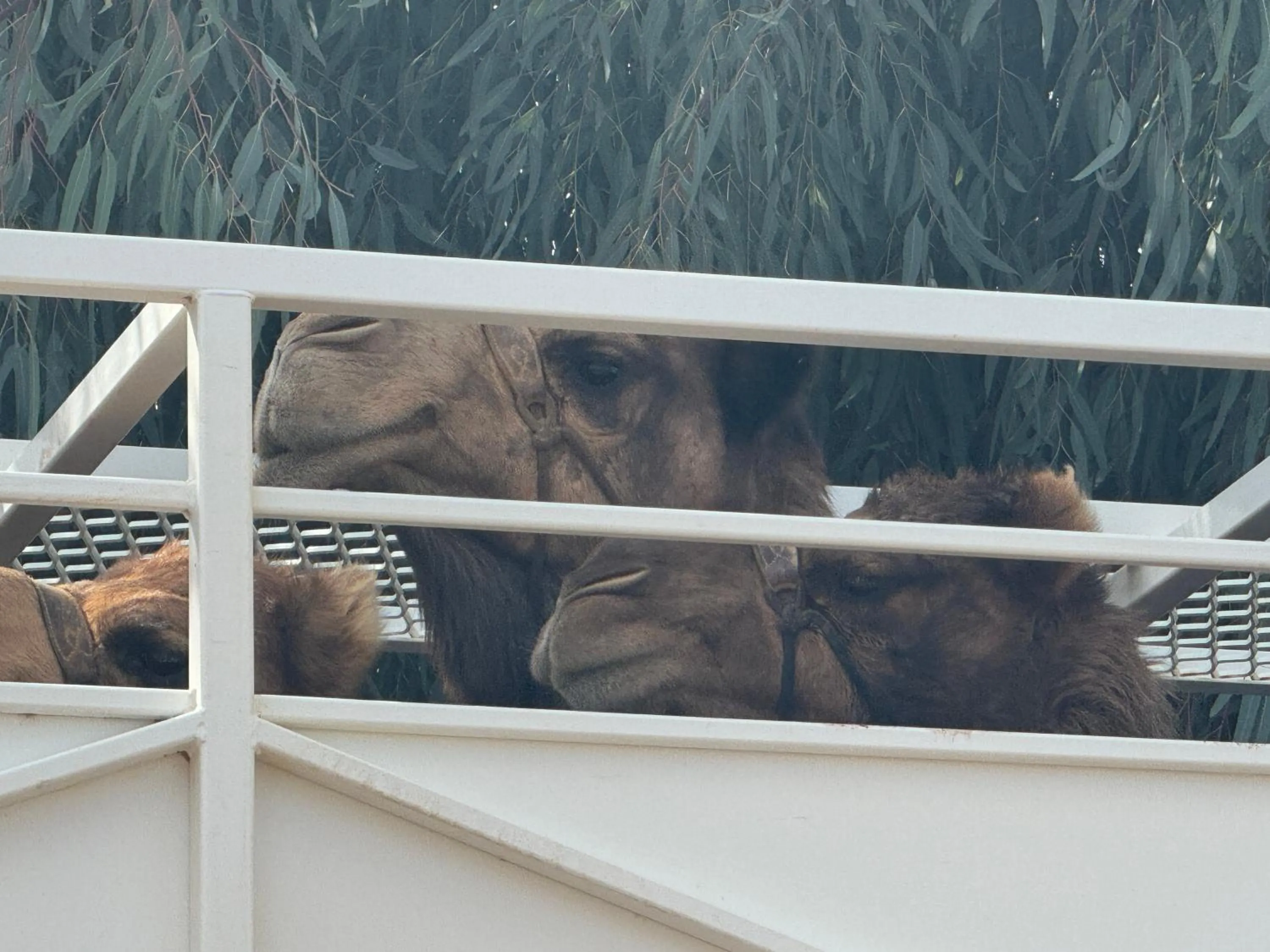 Off site in Club Boutique Hotel Cunnamulla