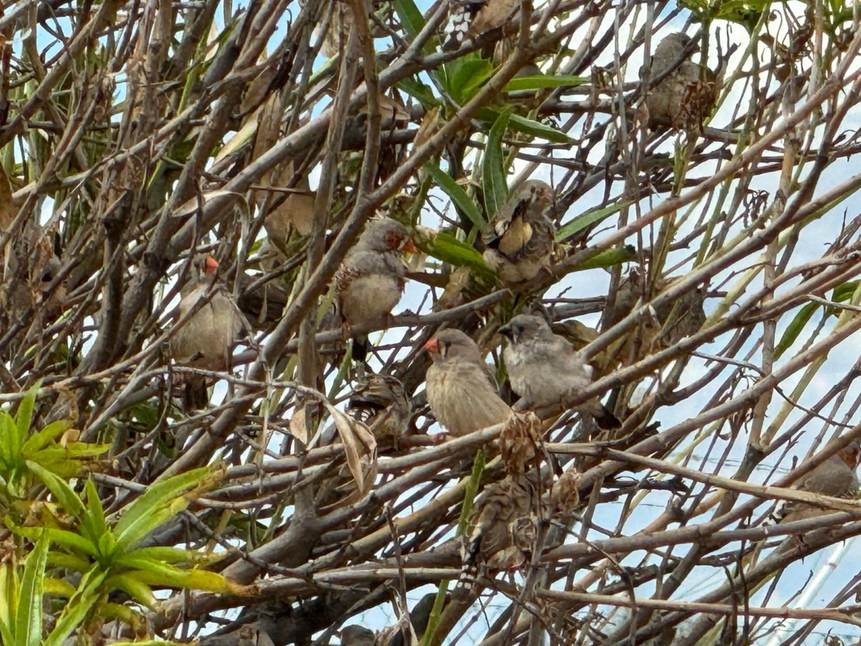Off site in Club Boutique Hotel Cunnamulla