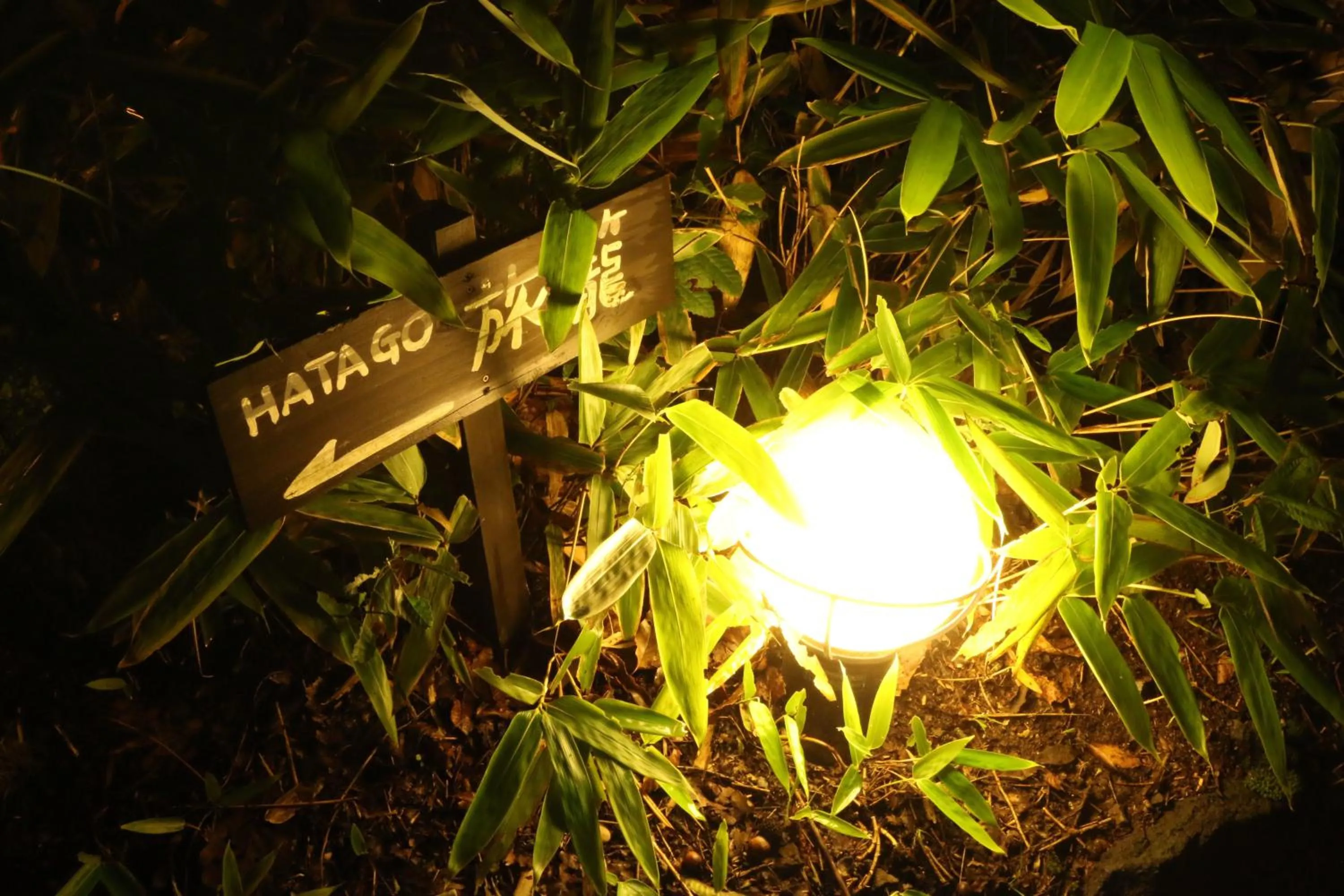 Tabinoyado Asonoyu
