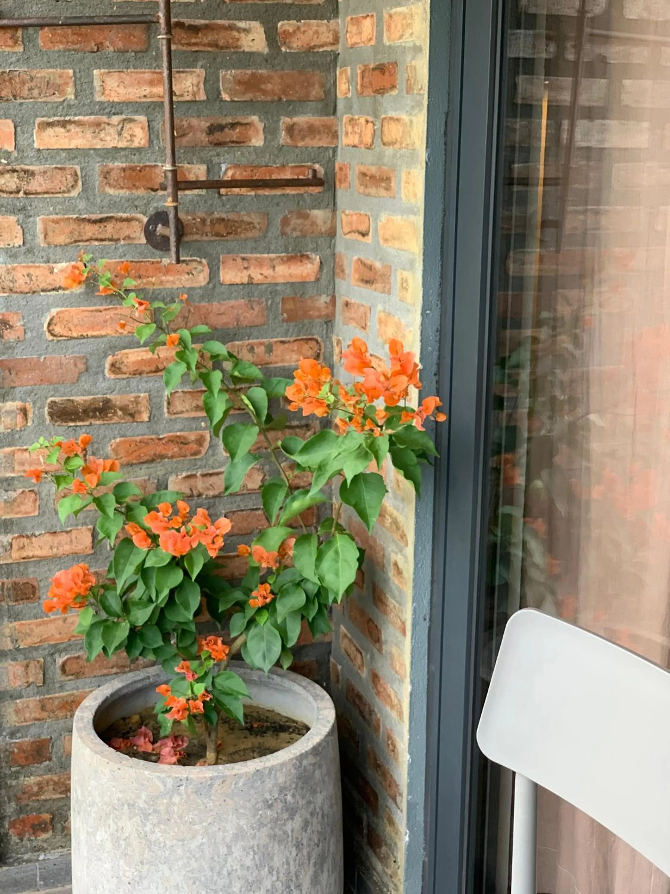 Balcony/Terrace in Kaia Gallery Hotel Hoi An