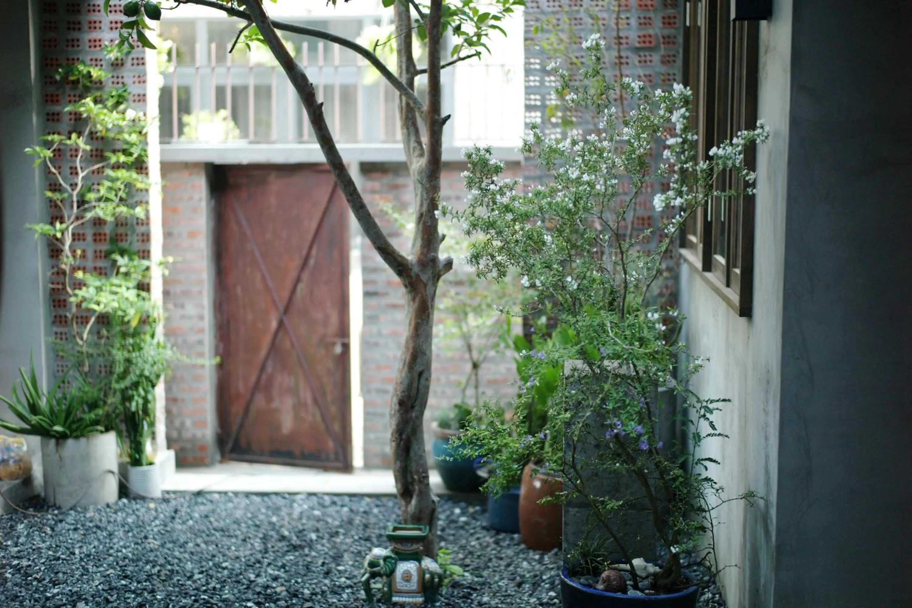 Patio in Kaia Gallery Hotel Hoi An