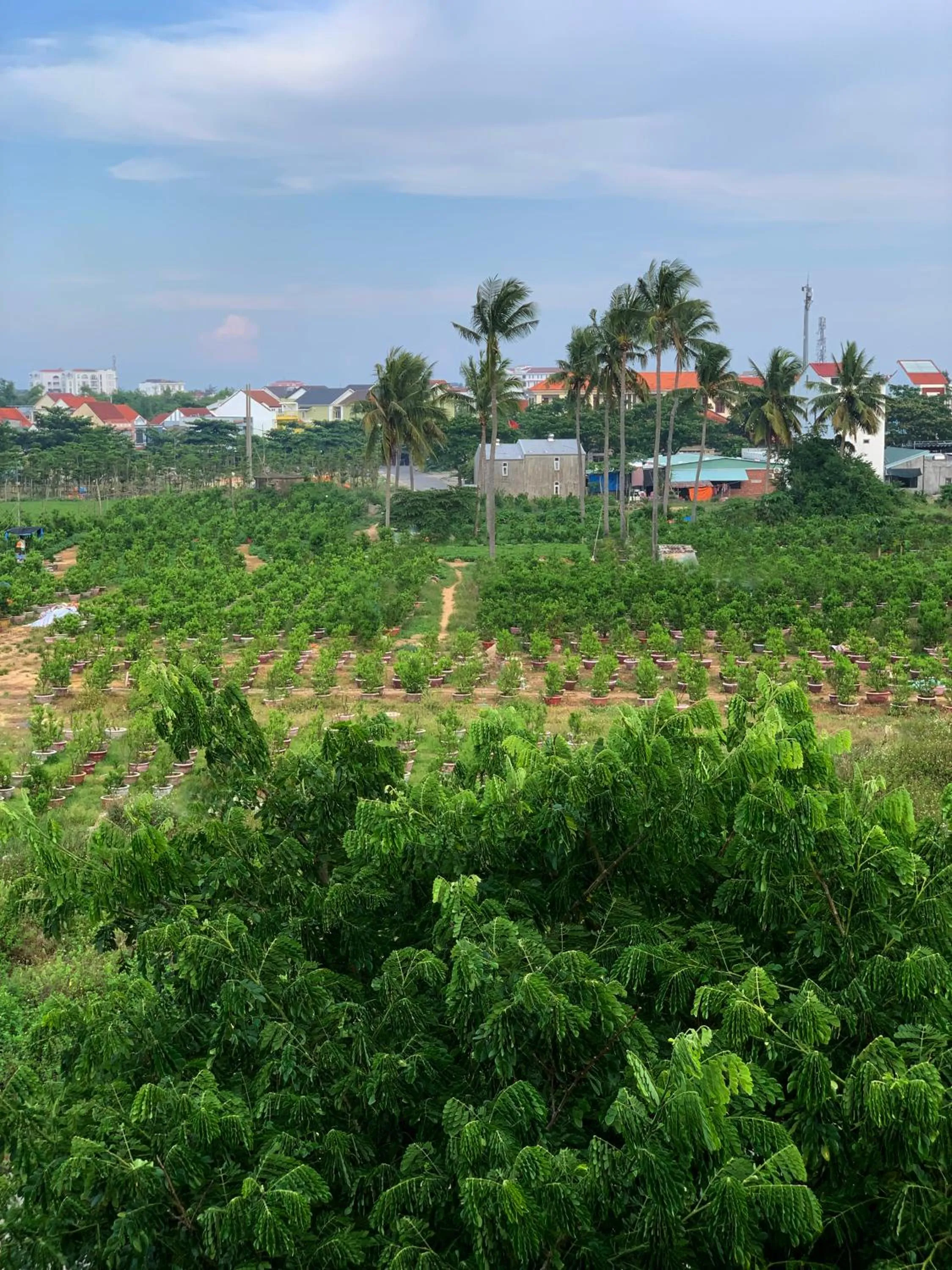 Day in Kaia Gallery Hotel Hoi An