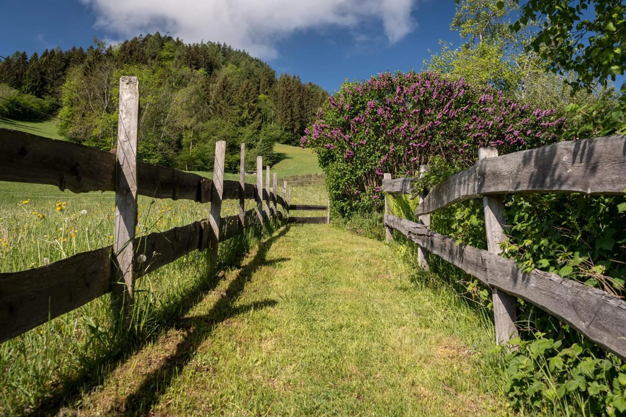 Property building in Landhaus St. Georg