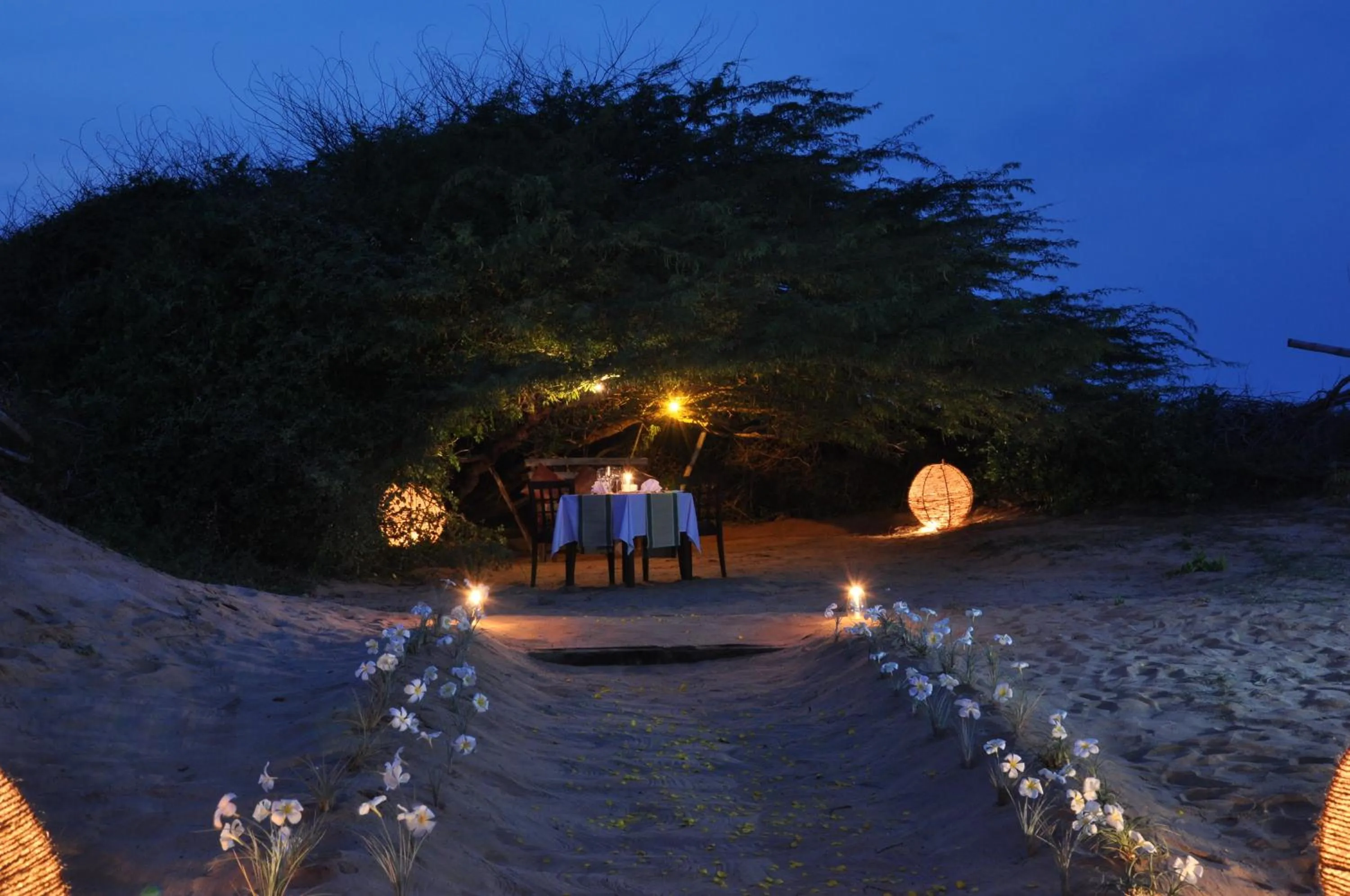 Area and facilities in Laya Safari Resorts & Spa