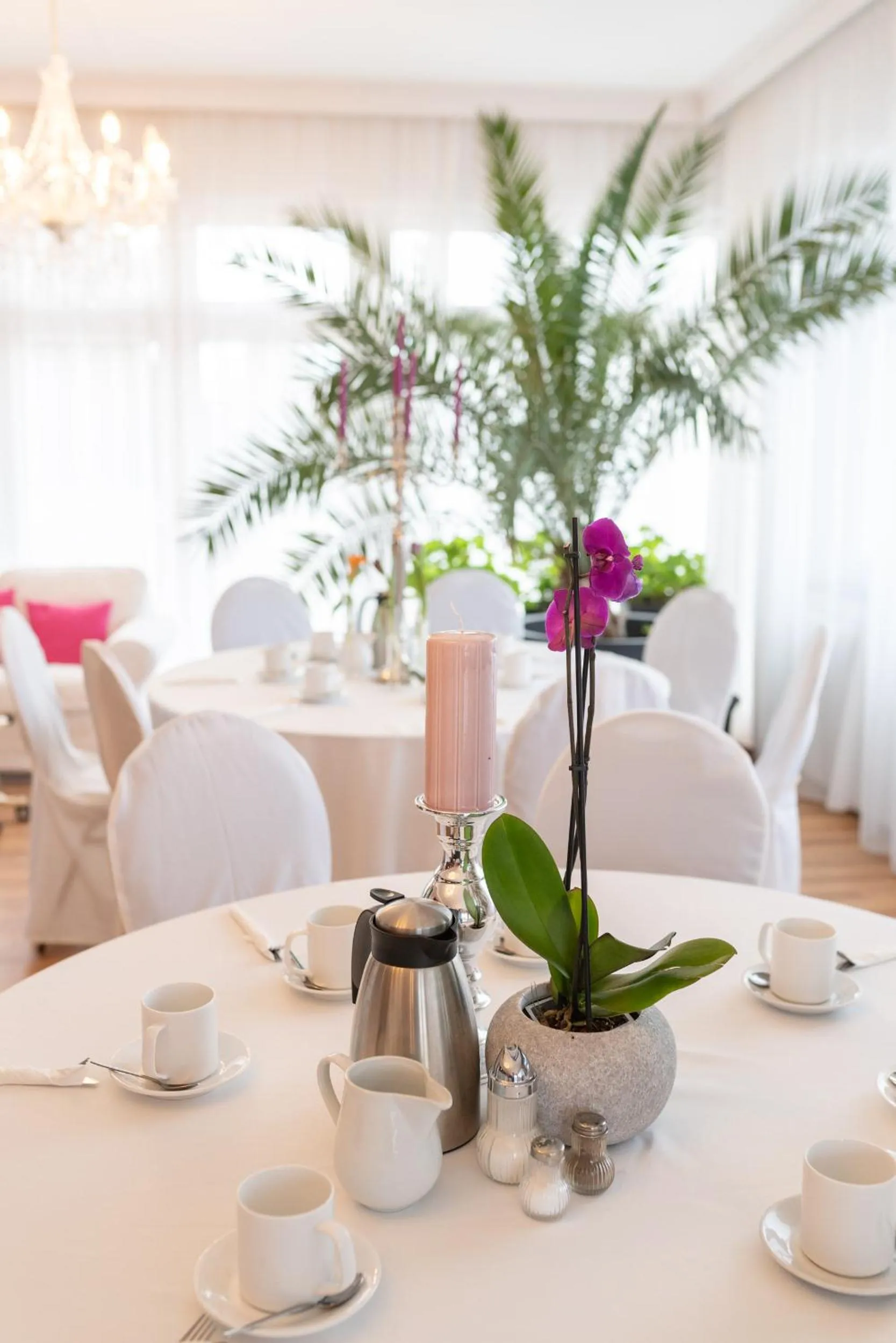 Restaurant/places to eat in HOTEL MARIA