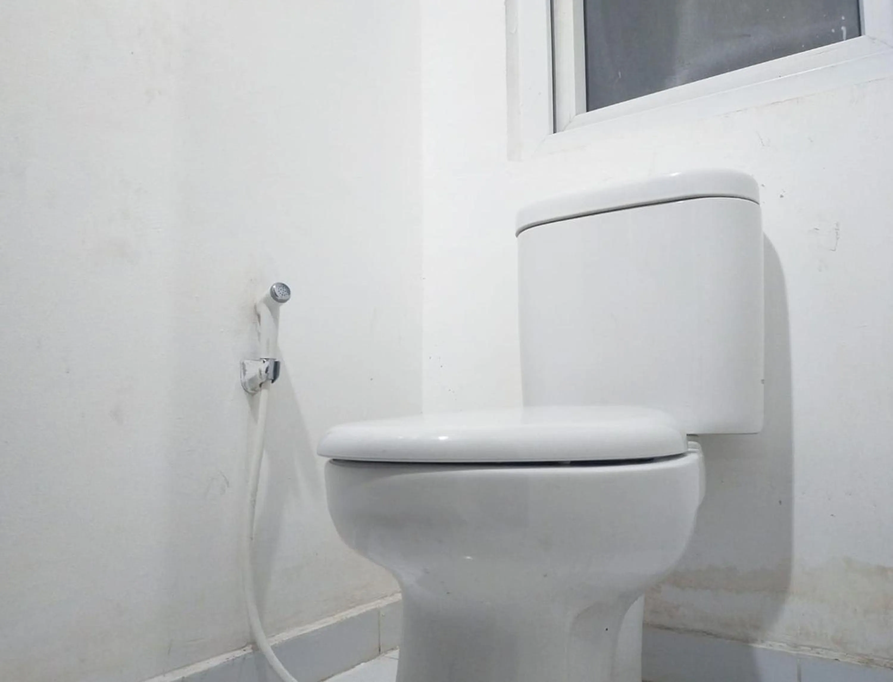 Toilet in Aesthetic Room