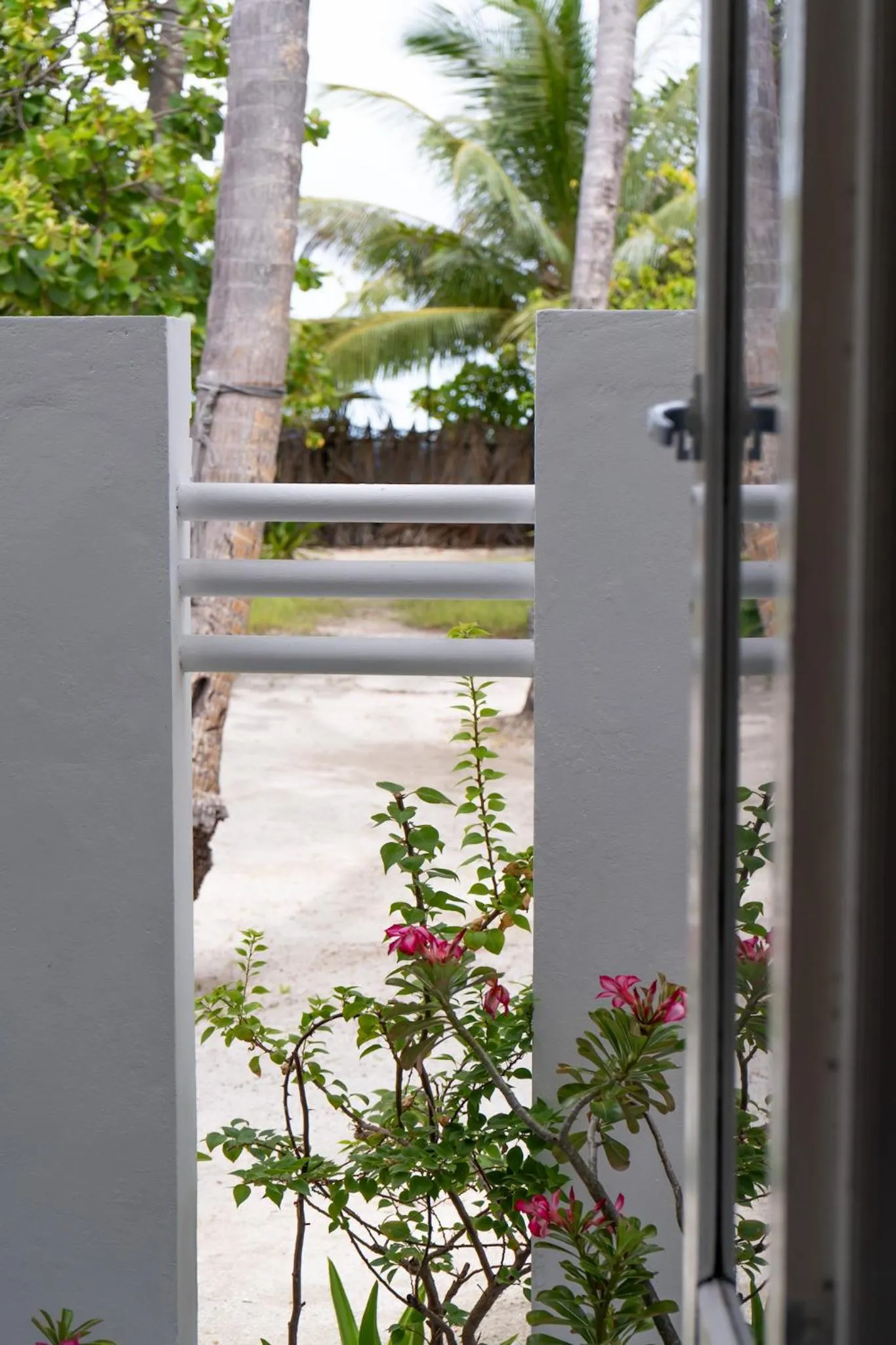 Vaali Maldives Island Escapes & Dive