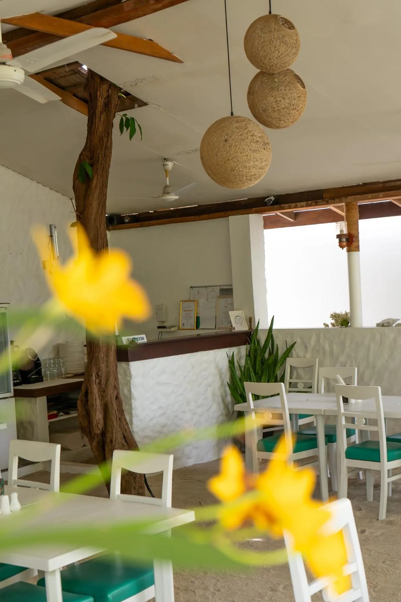 Vaali Maldives Island Escapes & Dive