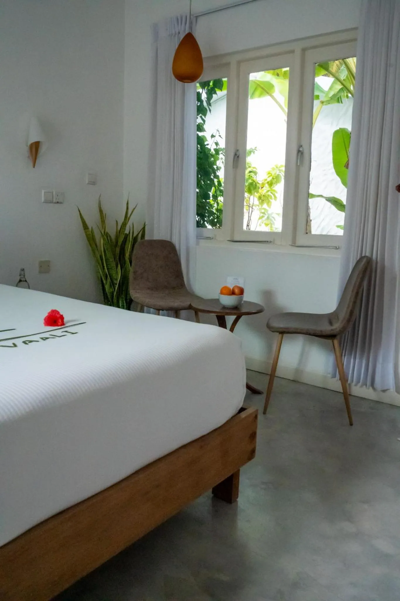 Bed in Vaali Maldives Island Escapes & Dive