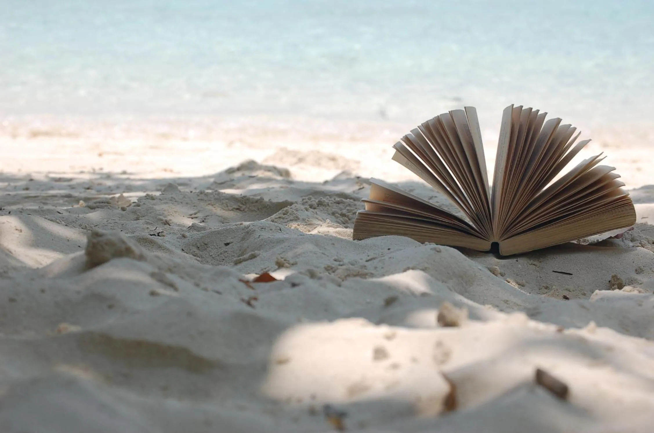 Vaali Maldives Island Escapes & Dive