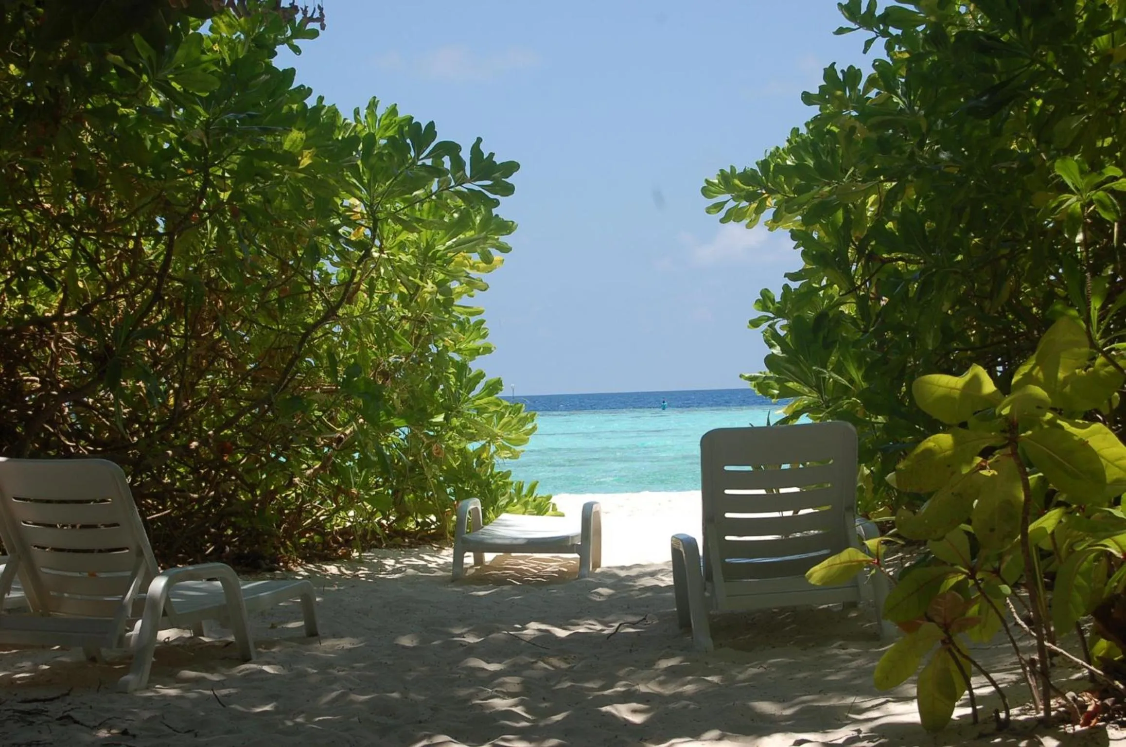 Beach in Vaali Maldives Island Escapes & Dive