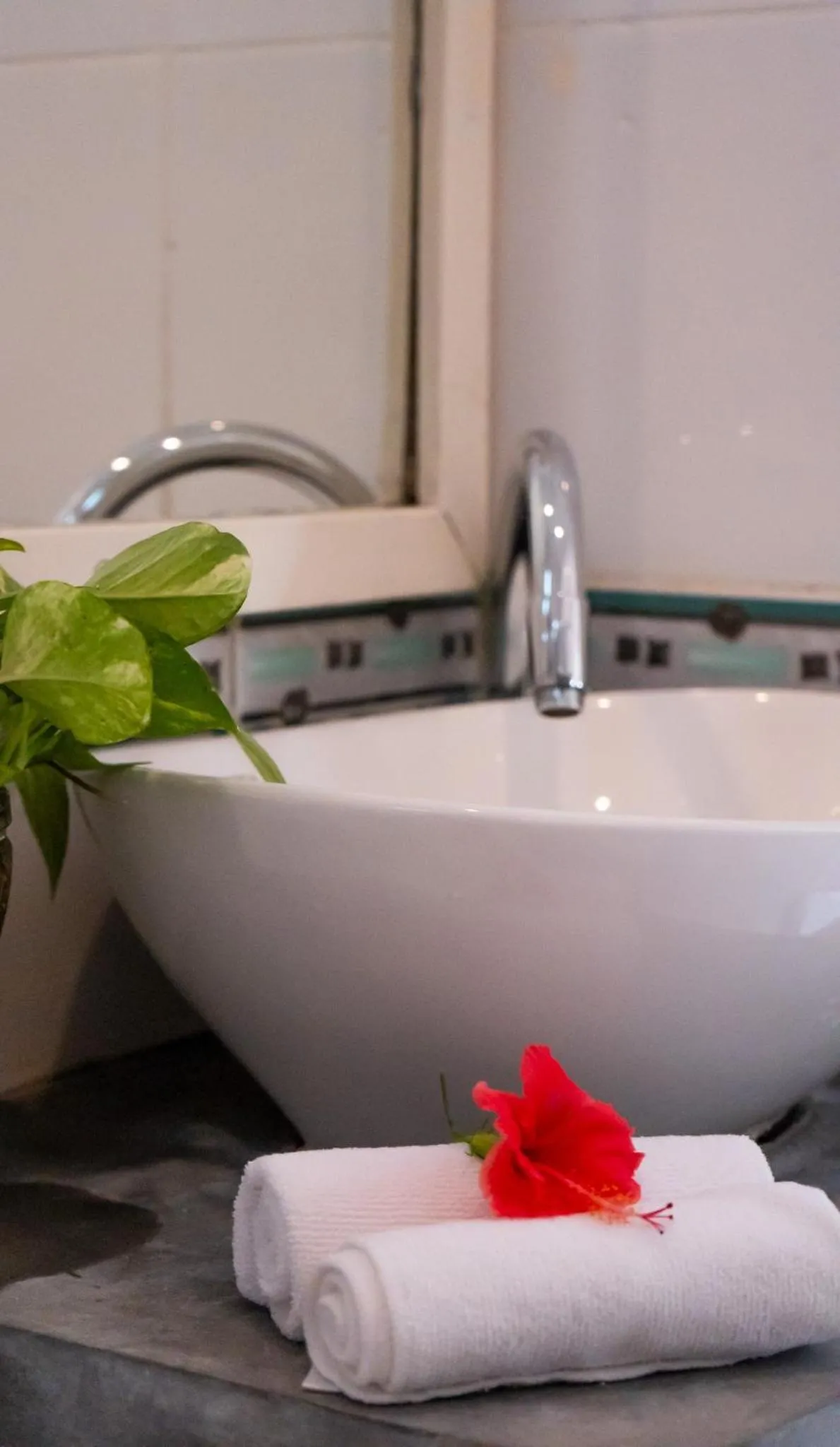 Vaali Maldives Island Escapes & Dive