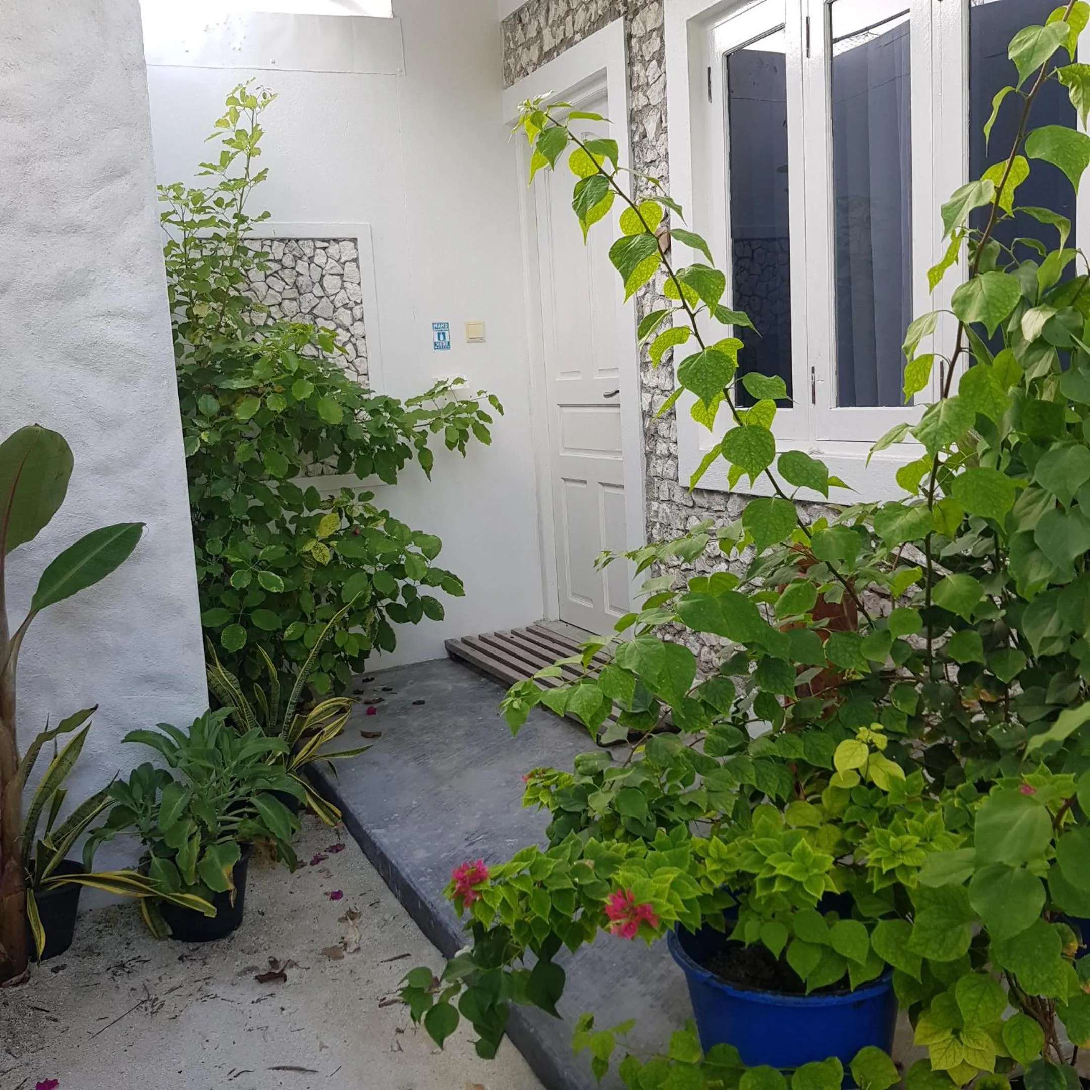 Vaali Maldives Island Escapes & Dive