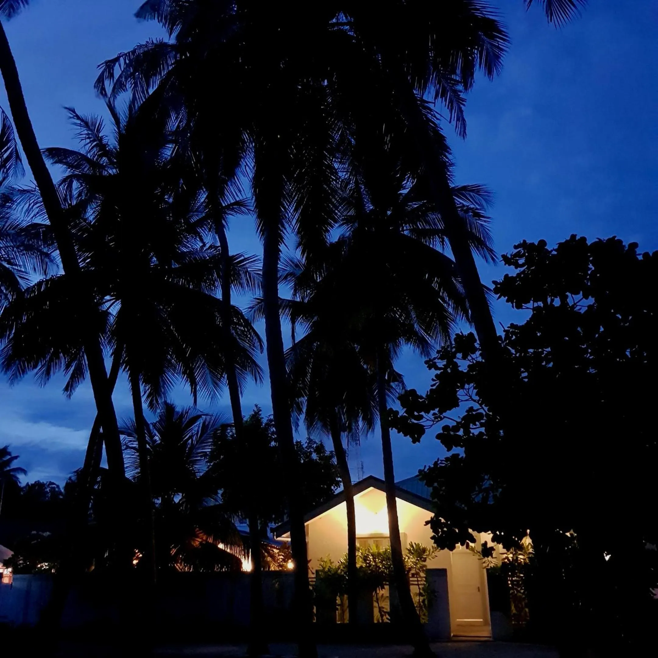 Vaali Maldives Island Escapes & Dive