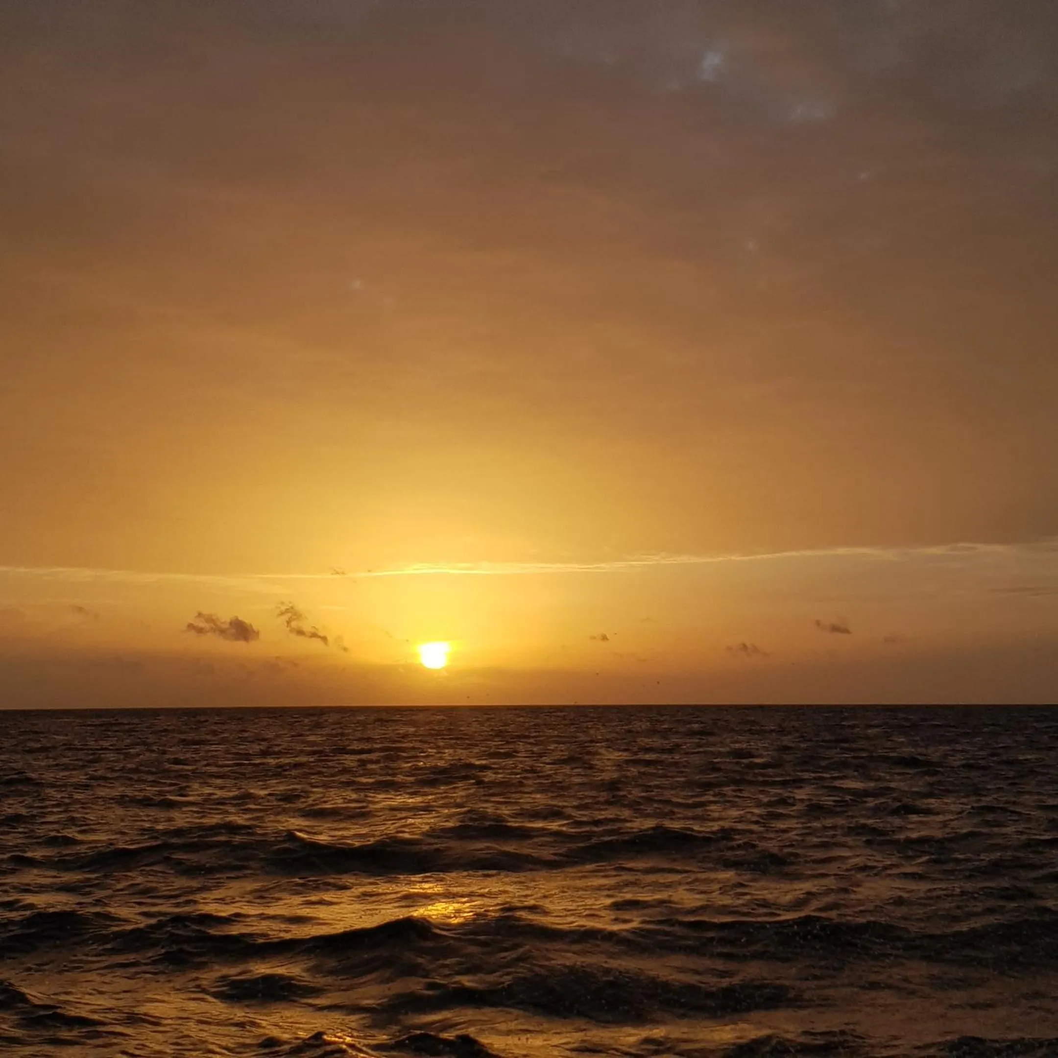 Vaali Maldives Island Escapes & Dive