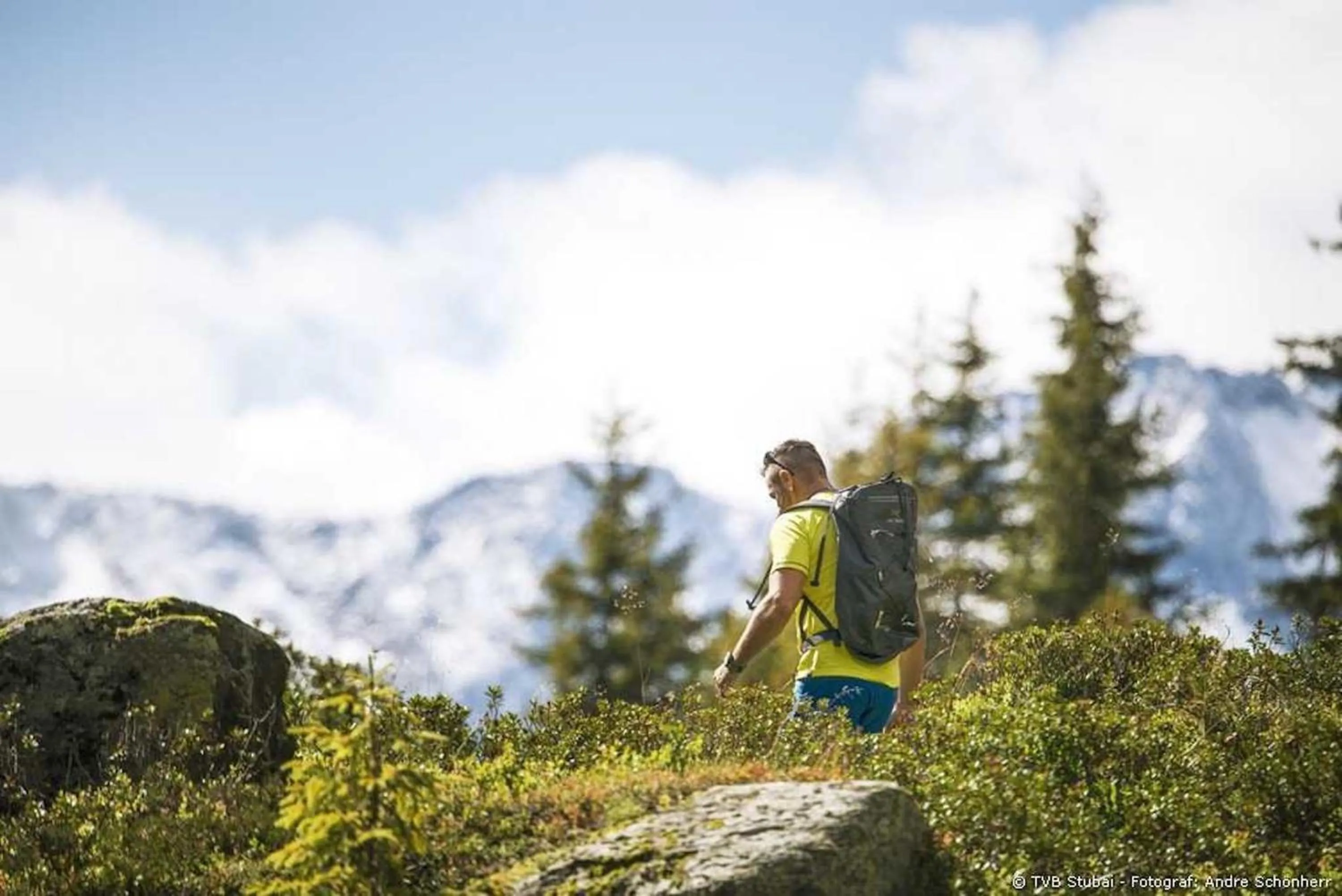 Day in Hotel Donnerhof