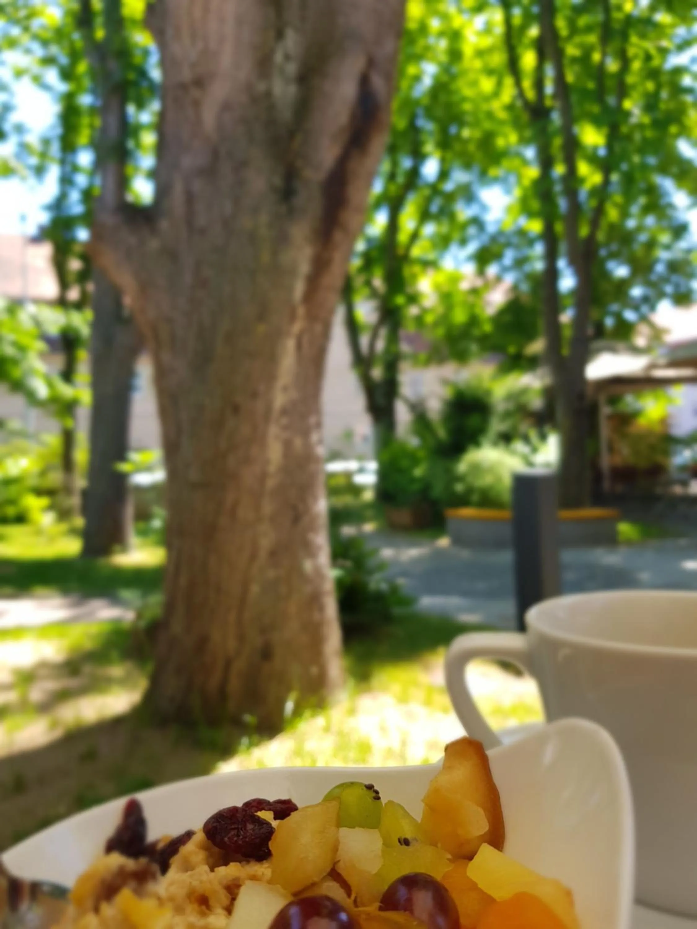 Breakfast in Kolping-Hotel