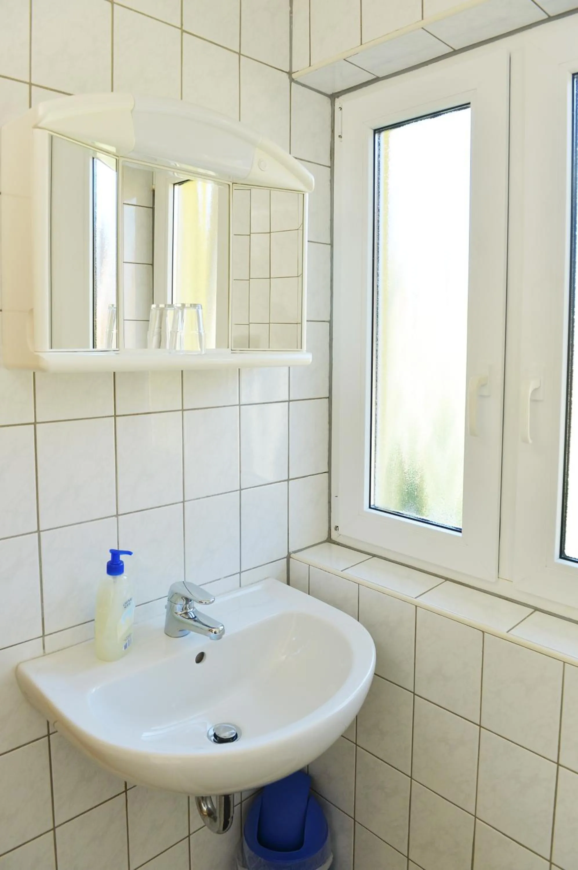 Bathroom in Pension Damköhler Thale OT Westerhausen
