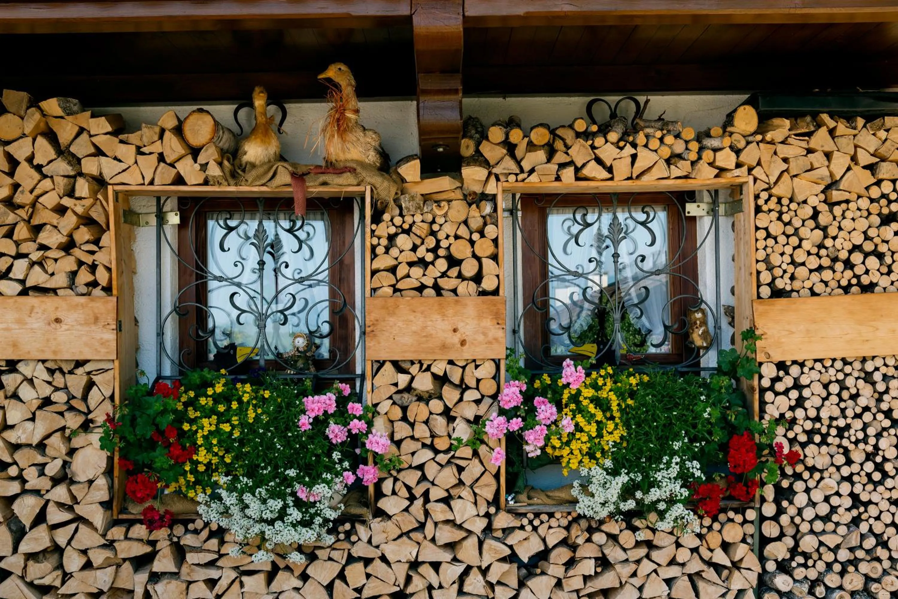 Facade/entrance in Haus Karoline
