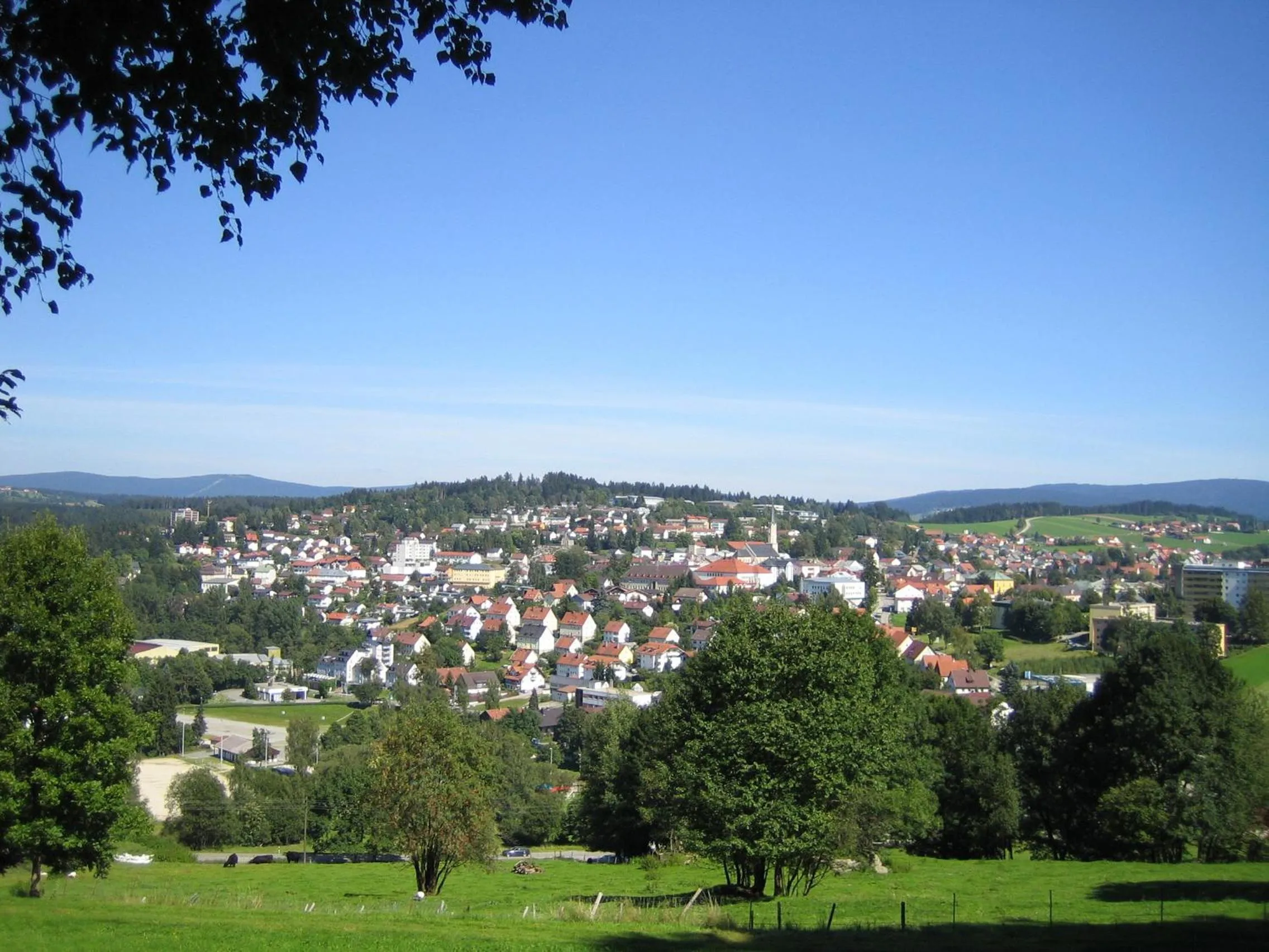 Area and facilities in Hotel-Gasthof Zur Post