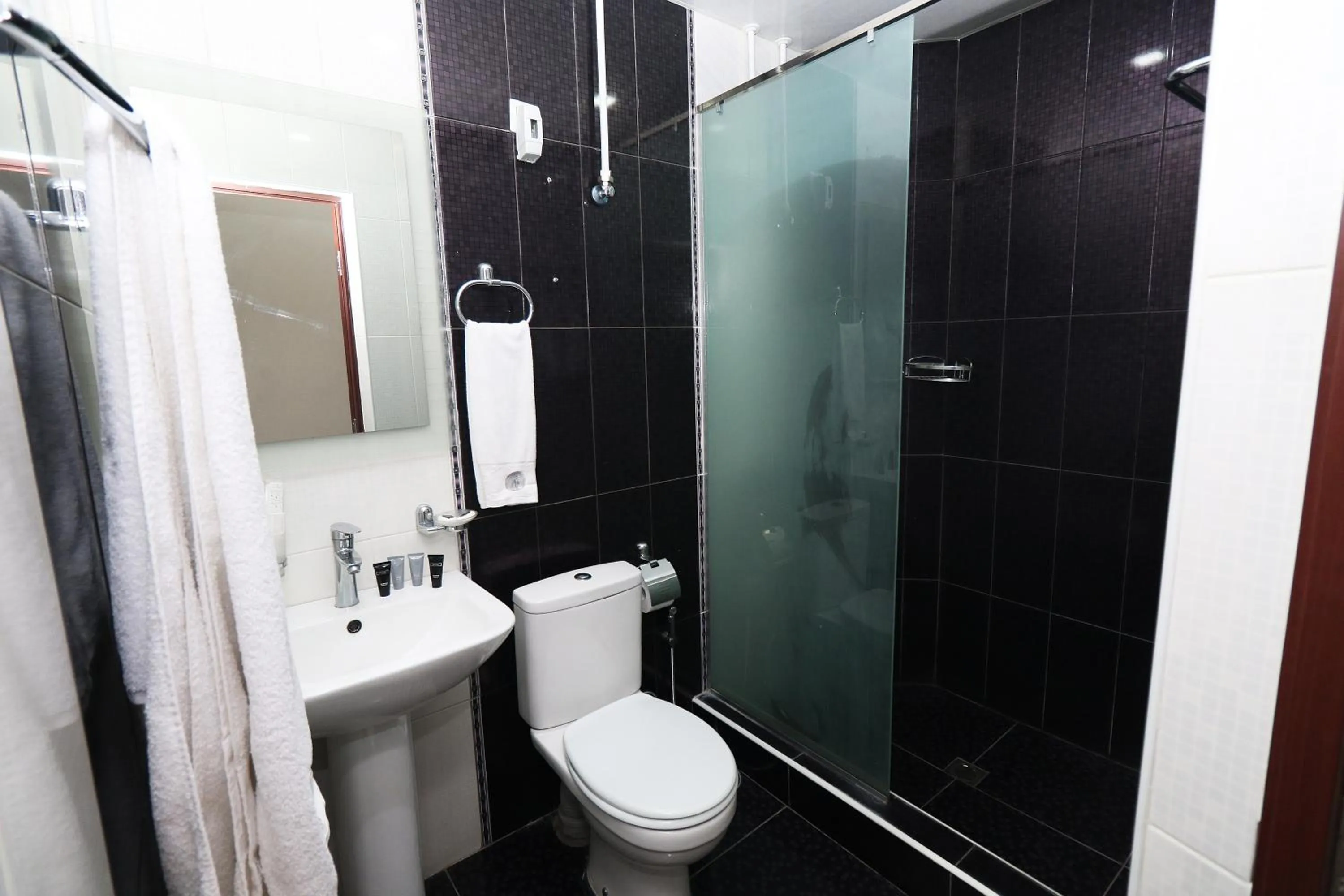 Shower in Hotel Tigran Mets Yerevan