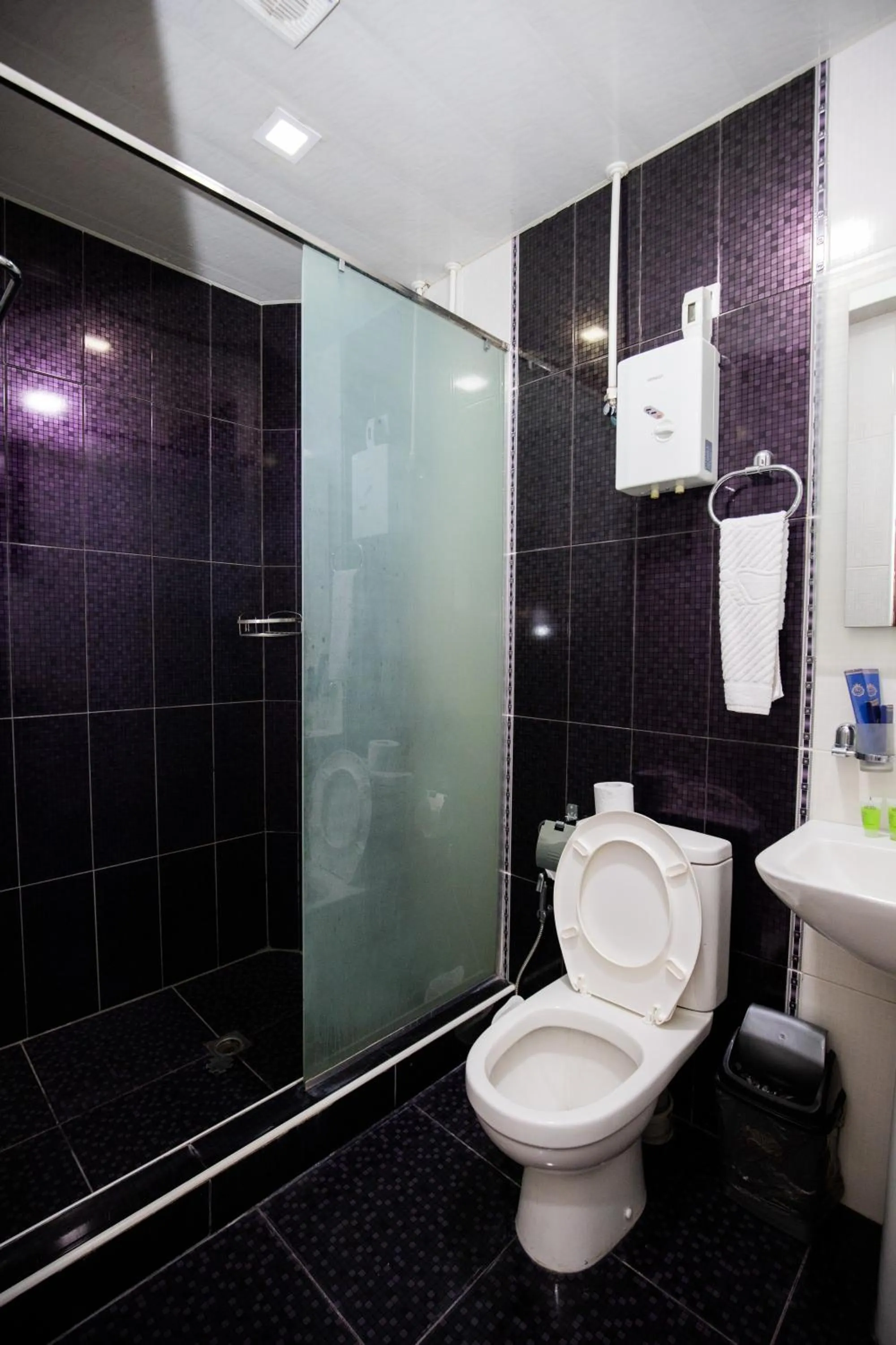Shower in Hotel Tigran Mets Yerevan
