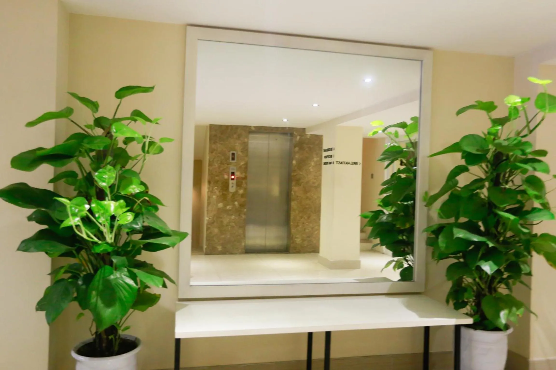 Decorative detail in Thu Do Hotel