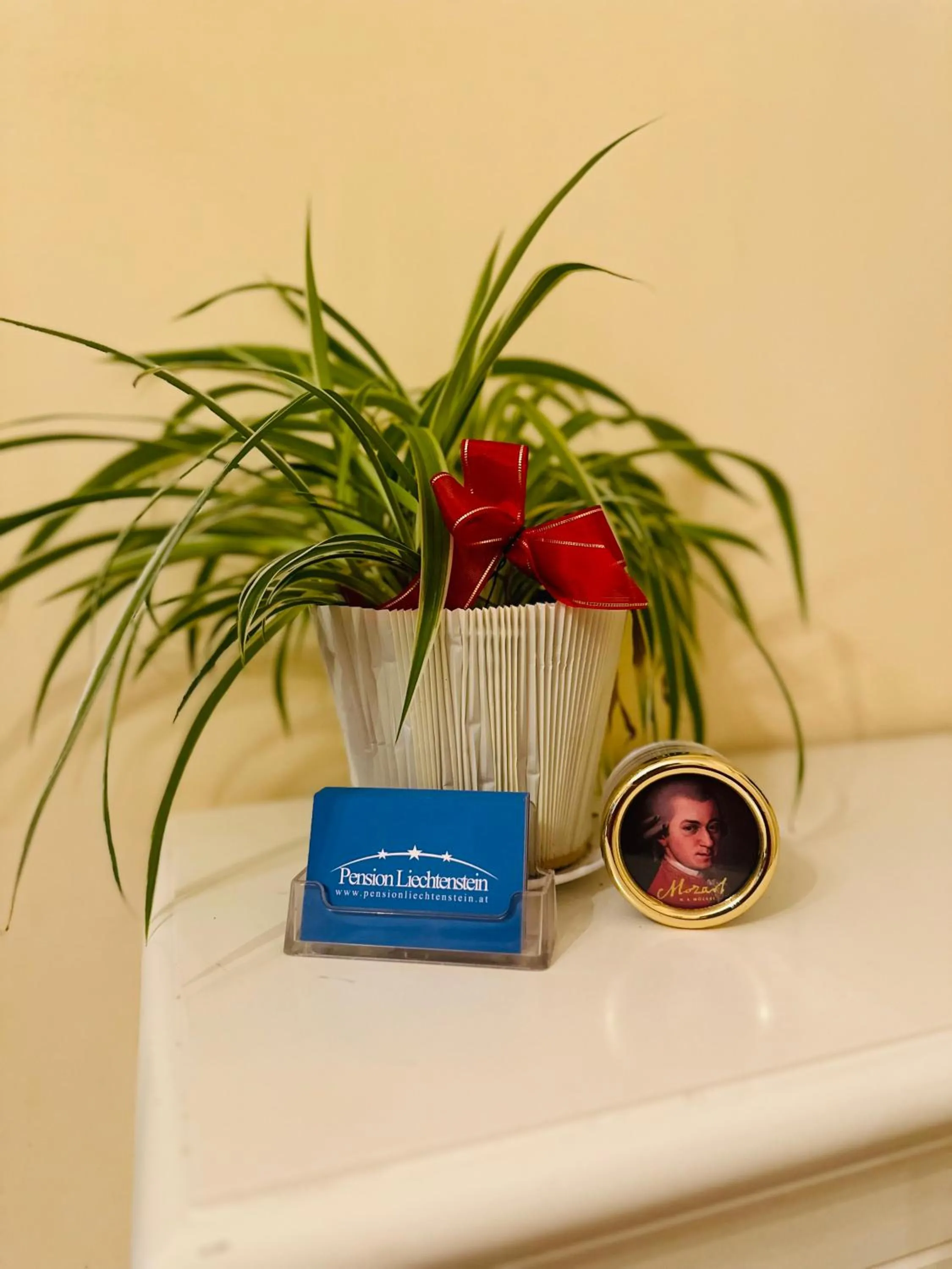 Lobby or reception in Pension Liechtenstein