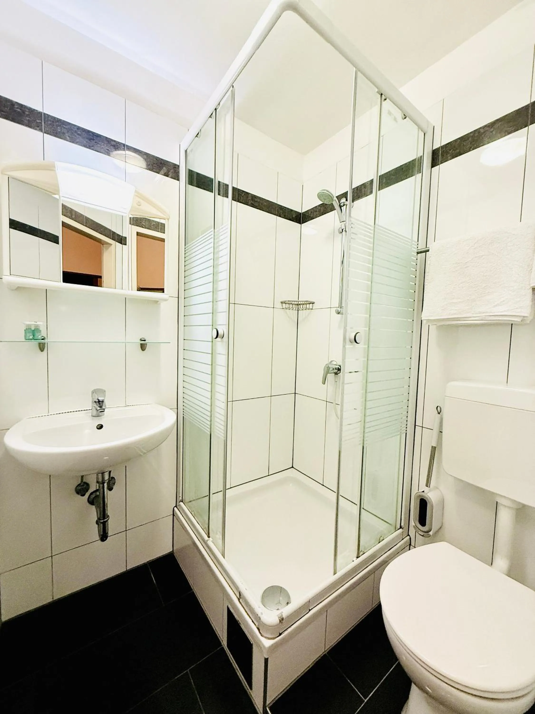 Bathroom in Pension Liechtenstein