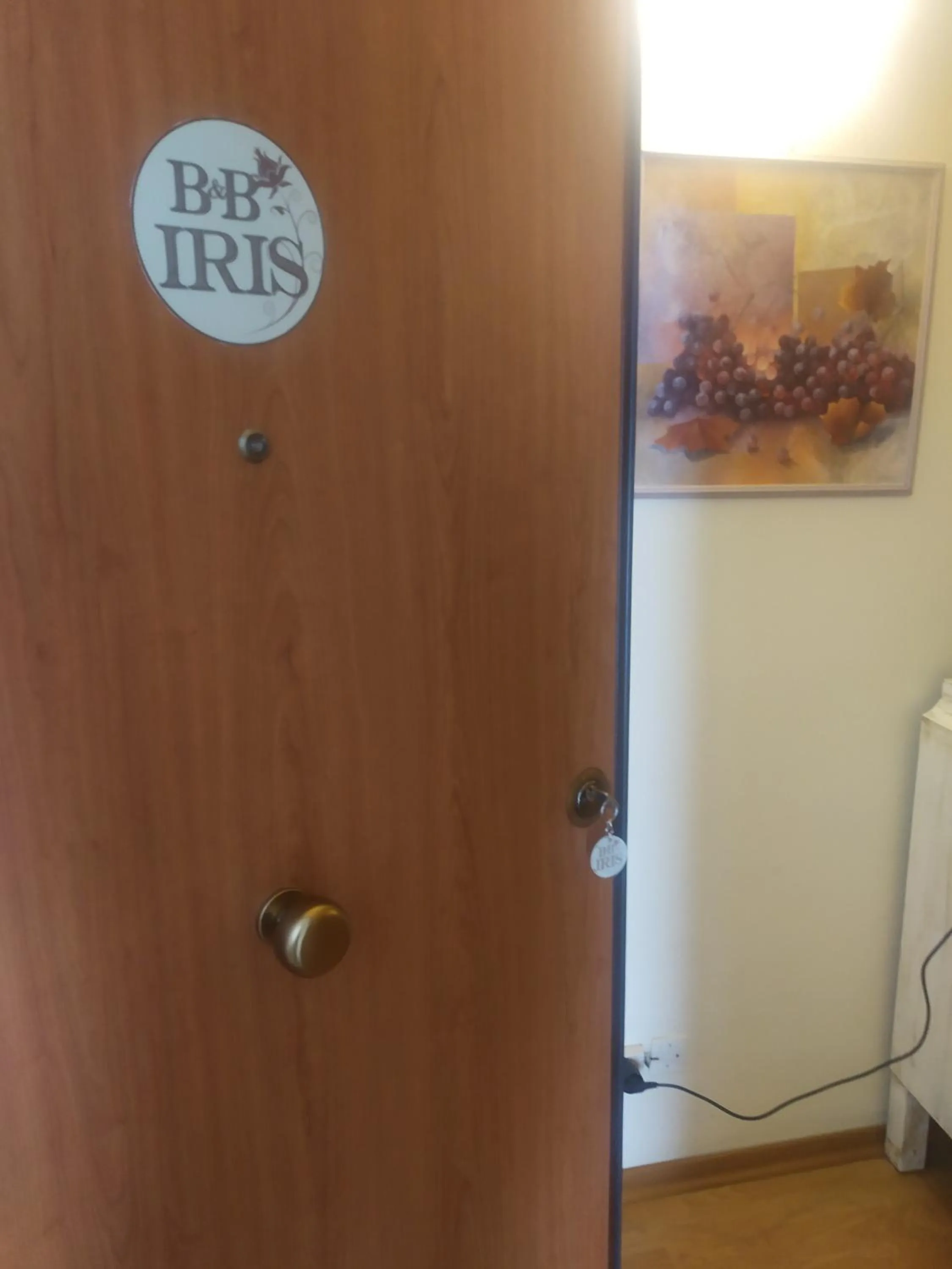 B&B Iris