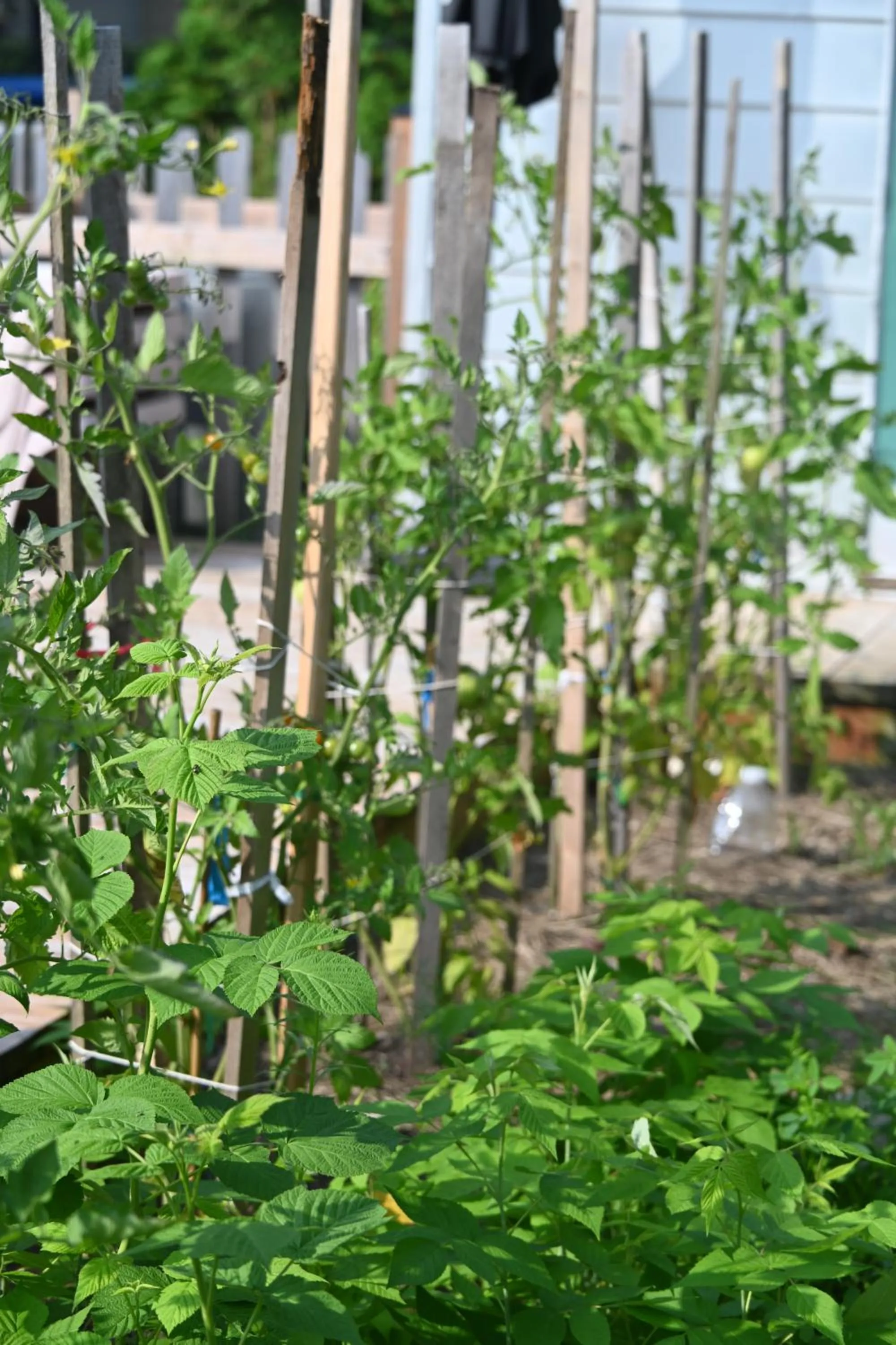 Garden in La maison de l'île d'Orléans -- maison d'hôtes B&B