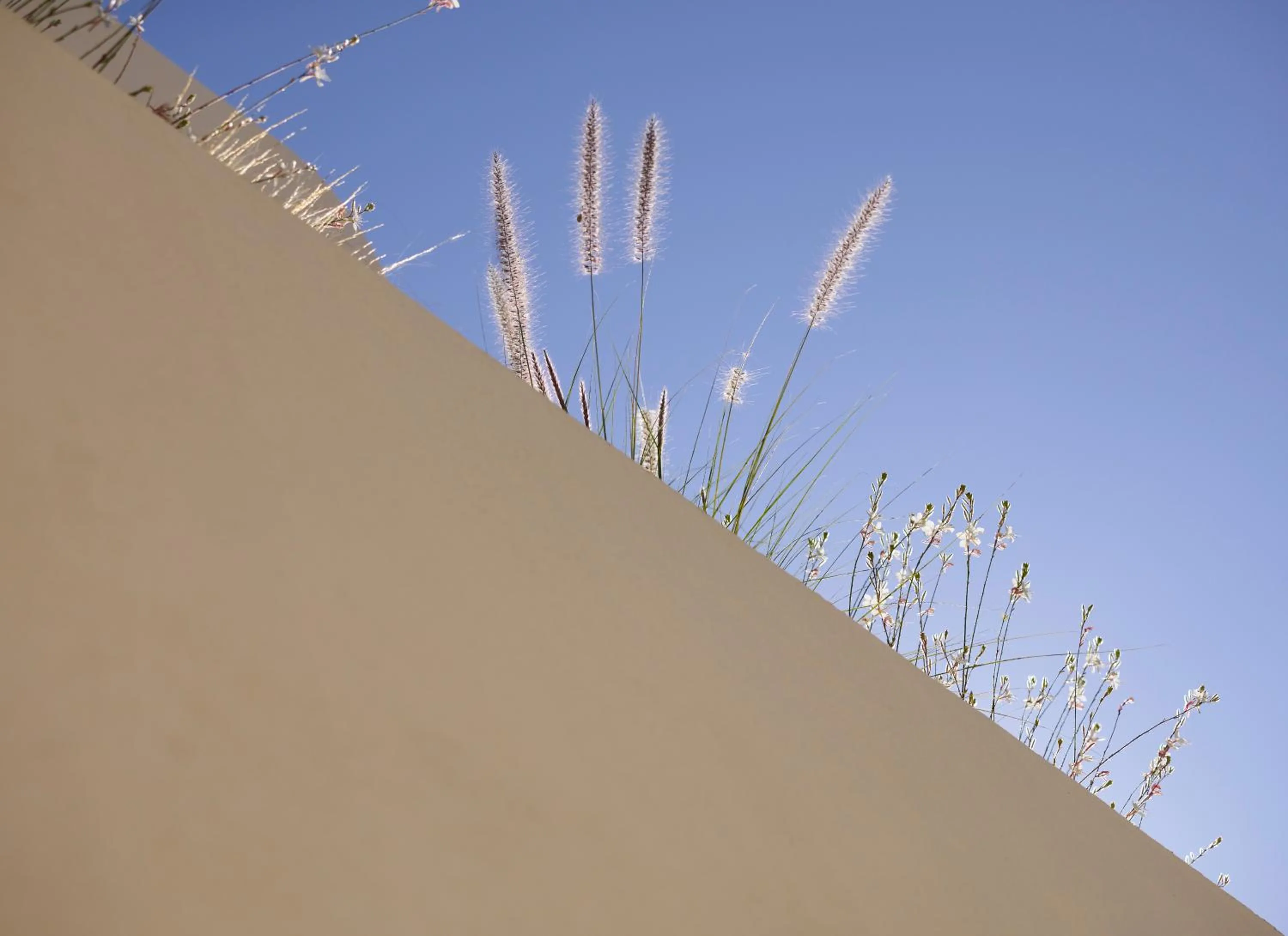 Decorative detail in White Pebble Suites