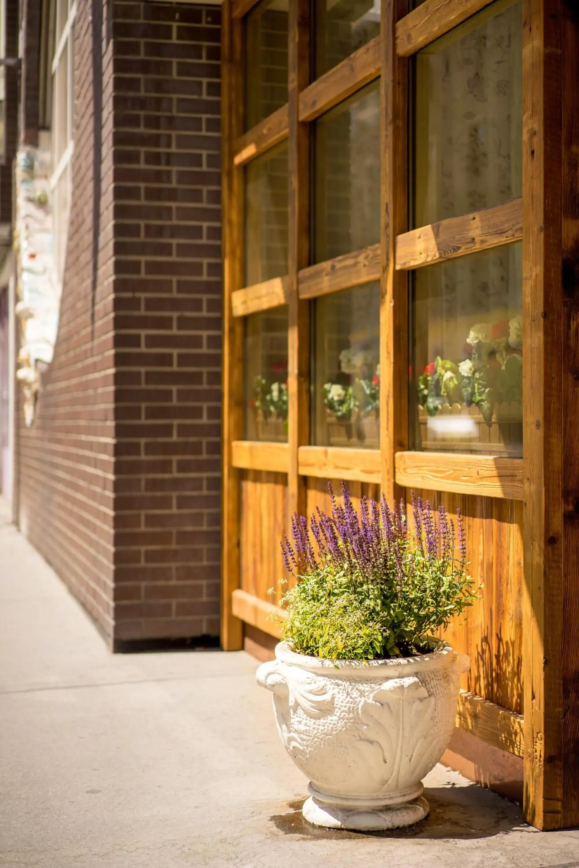 Facade/entrance in Hotel Enziana Wien Facade/entrance in Hotel Enziana Wien