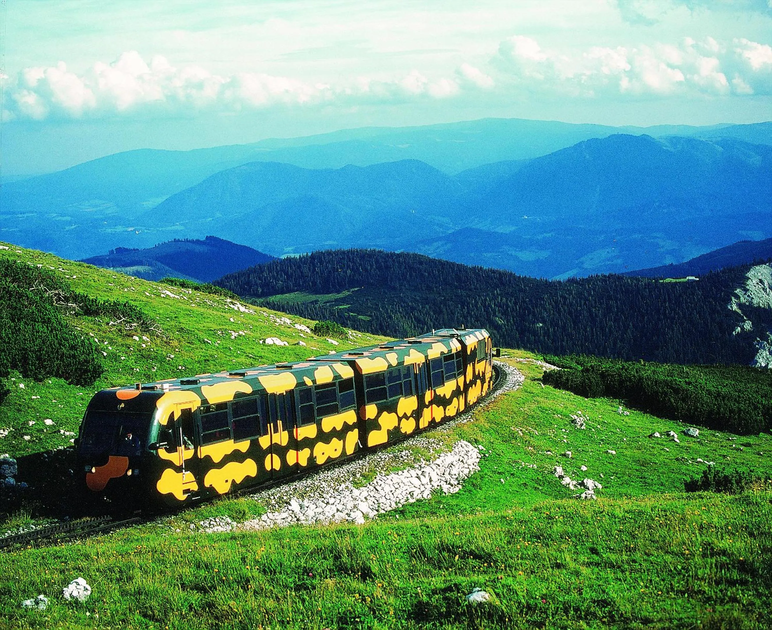 Area and facilities in Hotel Schneeberghof