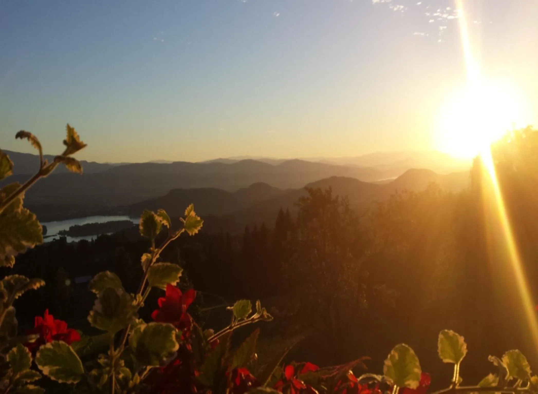 View (from property/room) in Hotel Baumgartnerhof