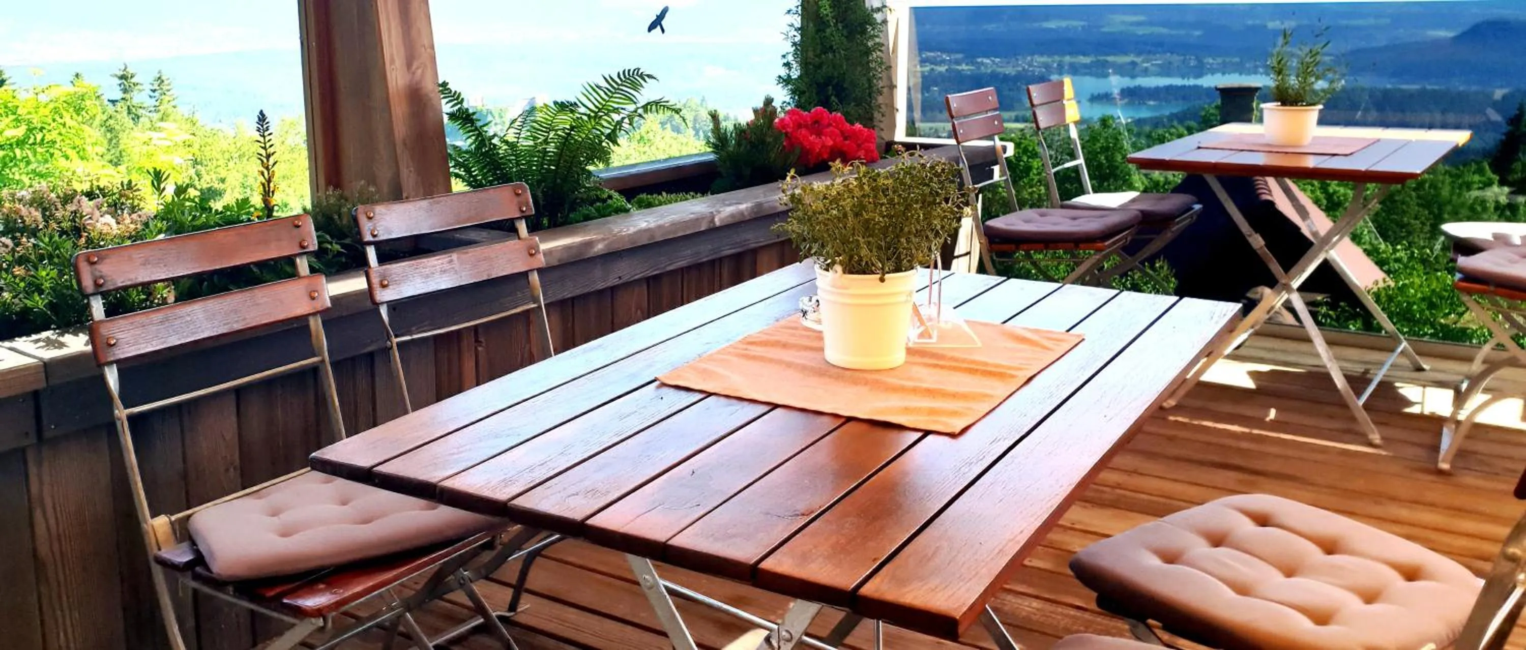 Balcony/Terrace in Hotel Baumgartnerhof
